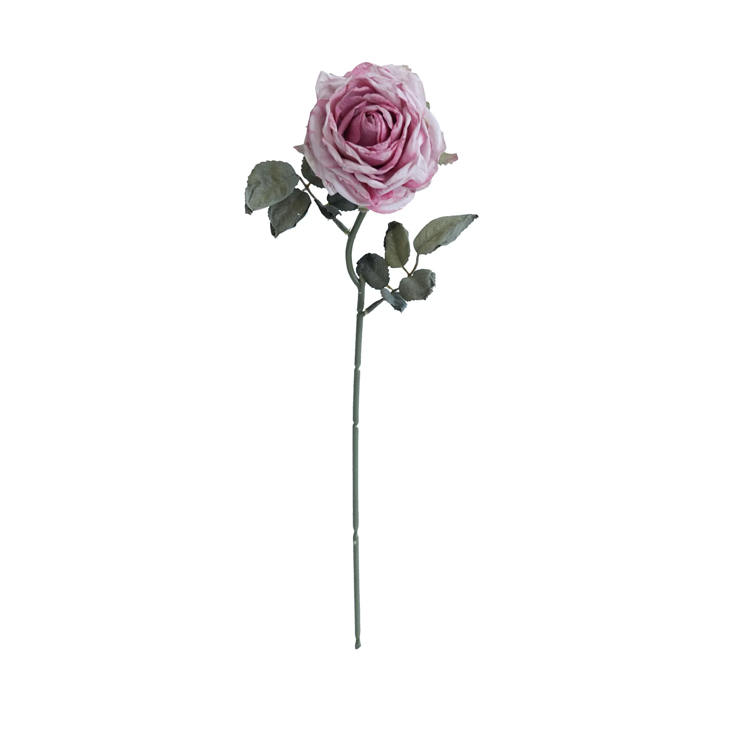 Cork-grense met meerlaagse rose