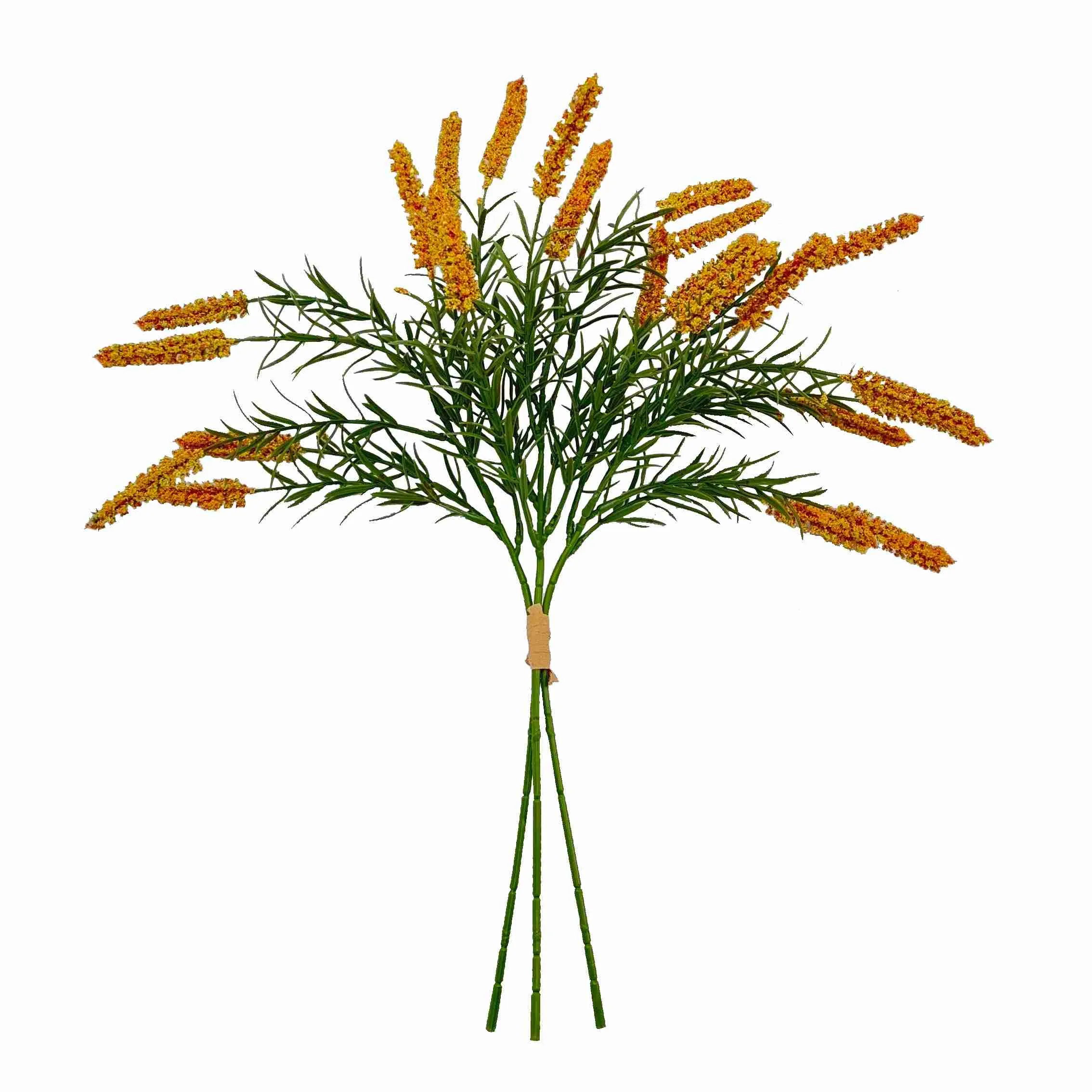Bundel die rietblomme