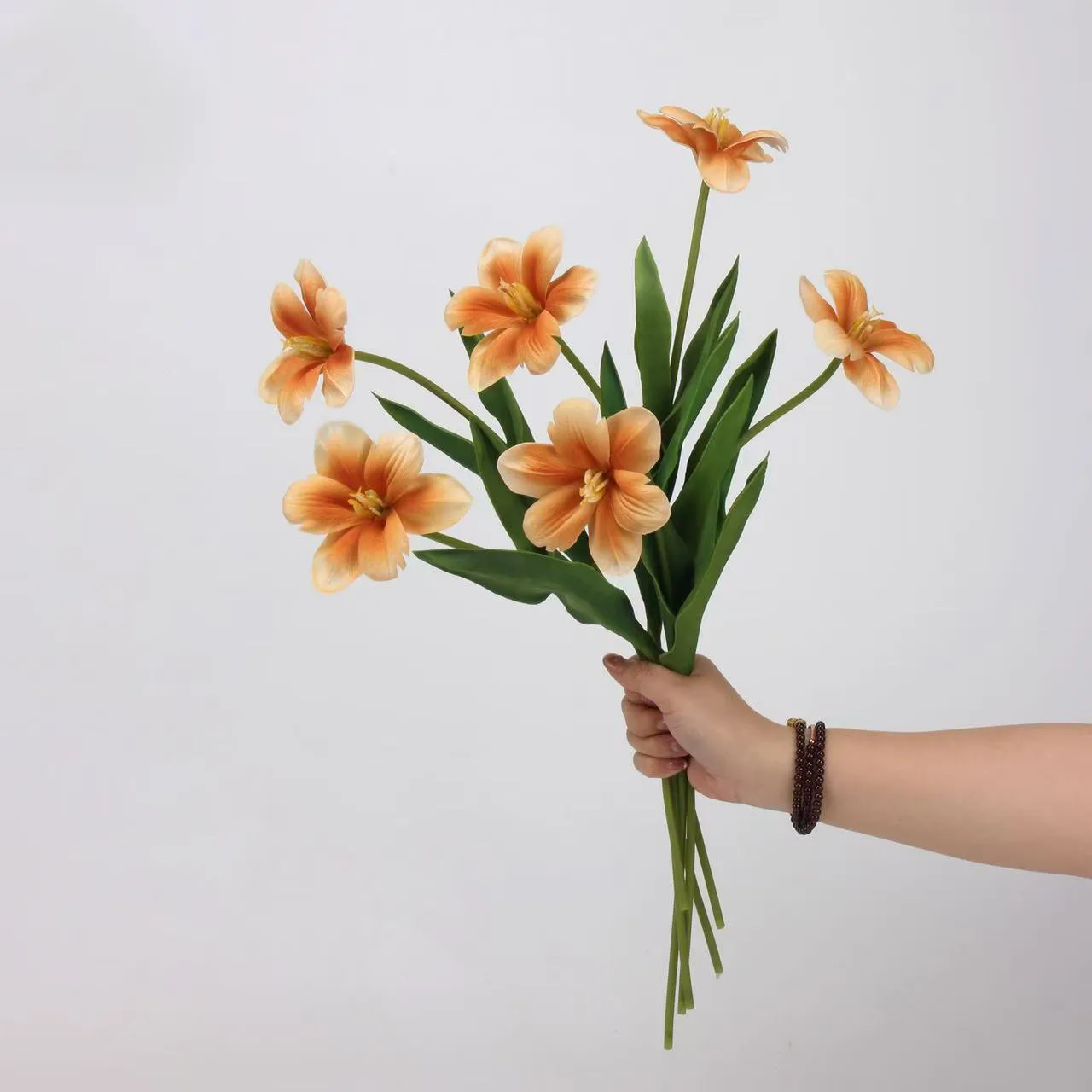 Brownie tulp