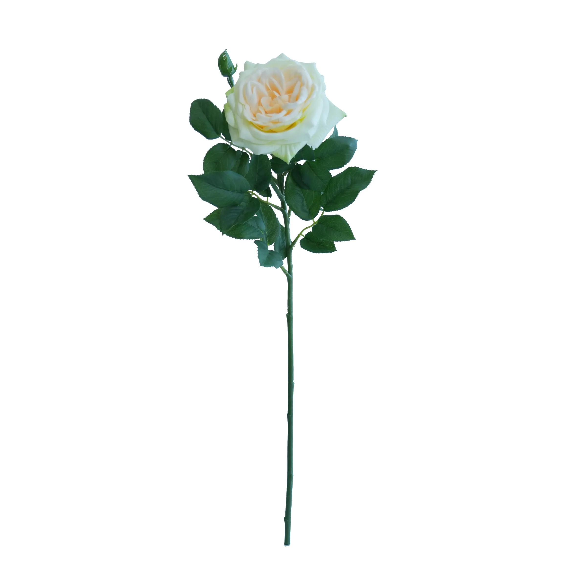 Enkel Lychee Rose