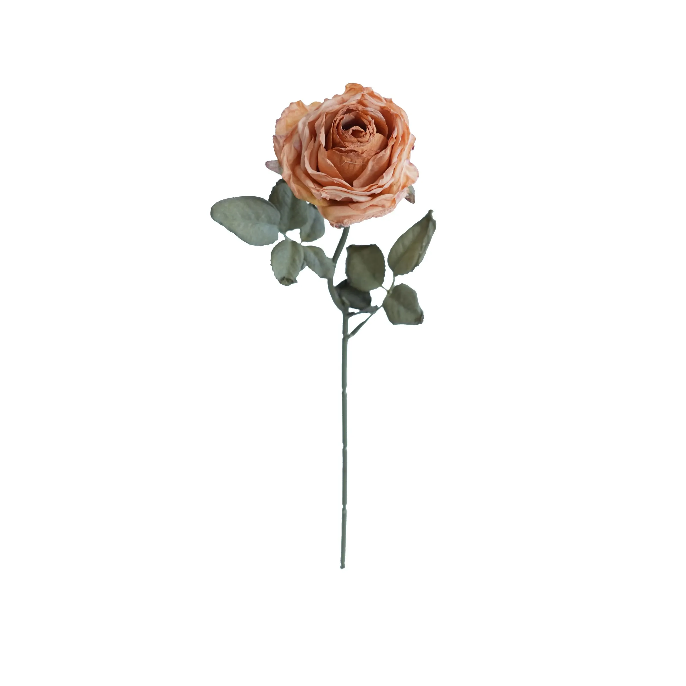 Cork-grense met meerlaagse rose