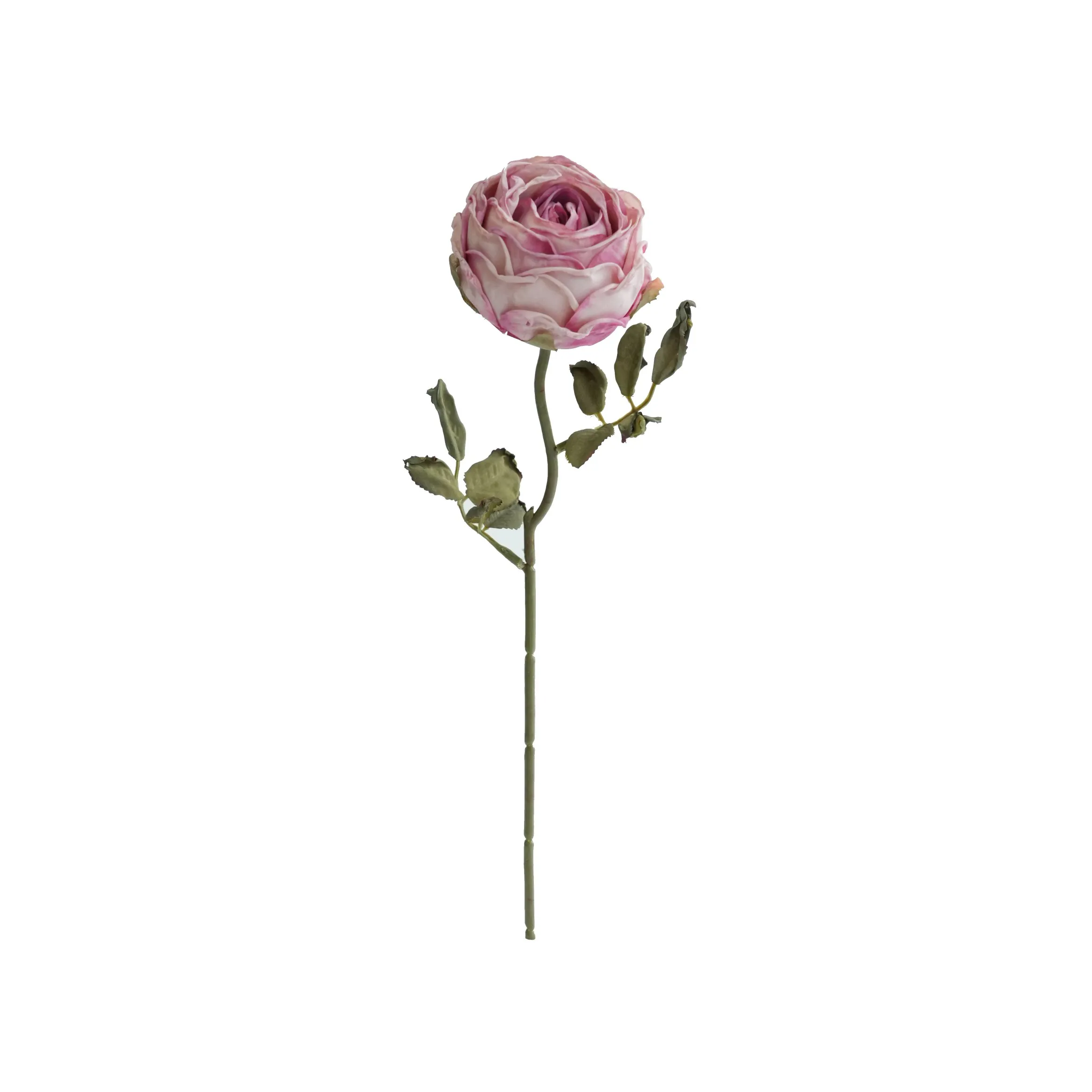 Gekapte ronde rose