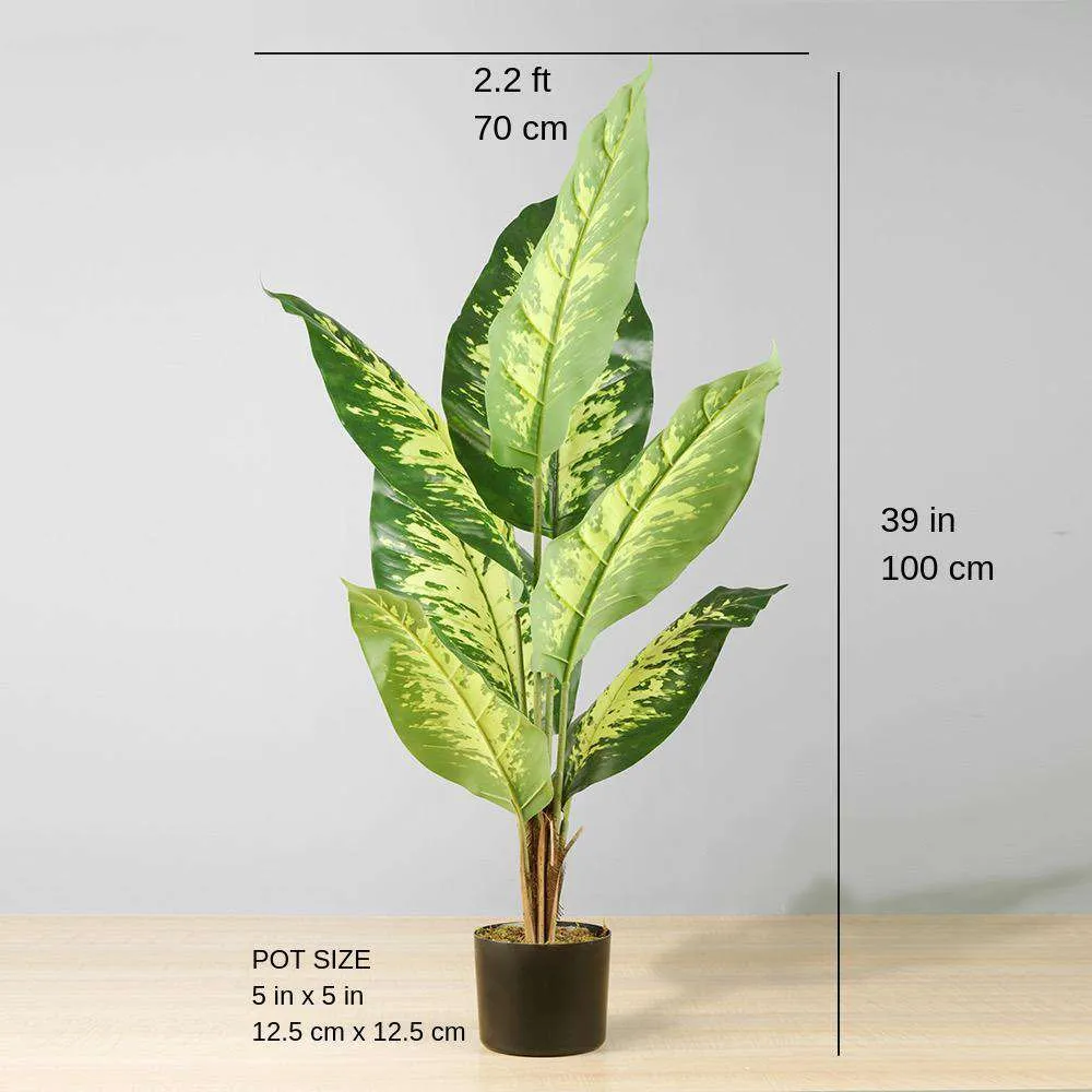 Kunsmatige immergroen potplant