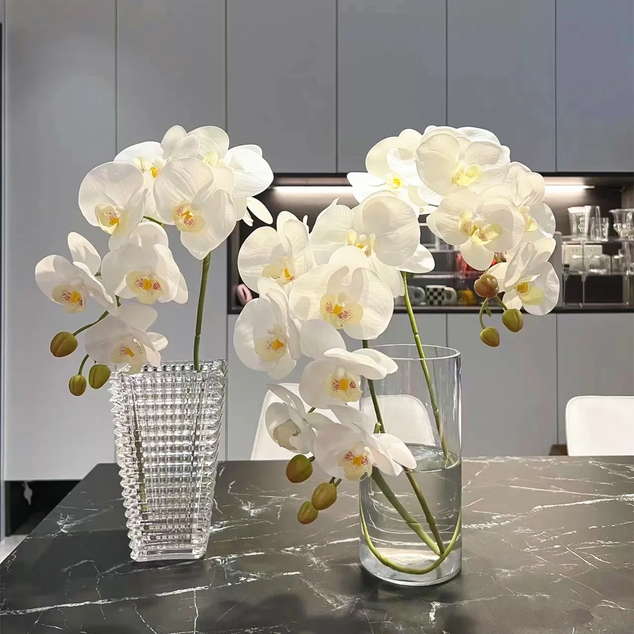 Phalaenopsis orgidee