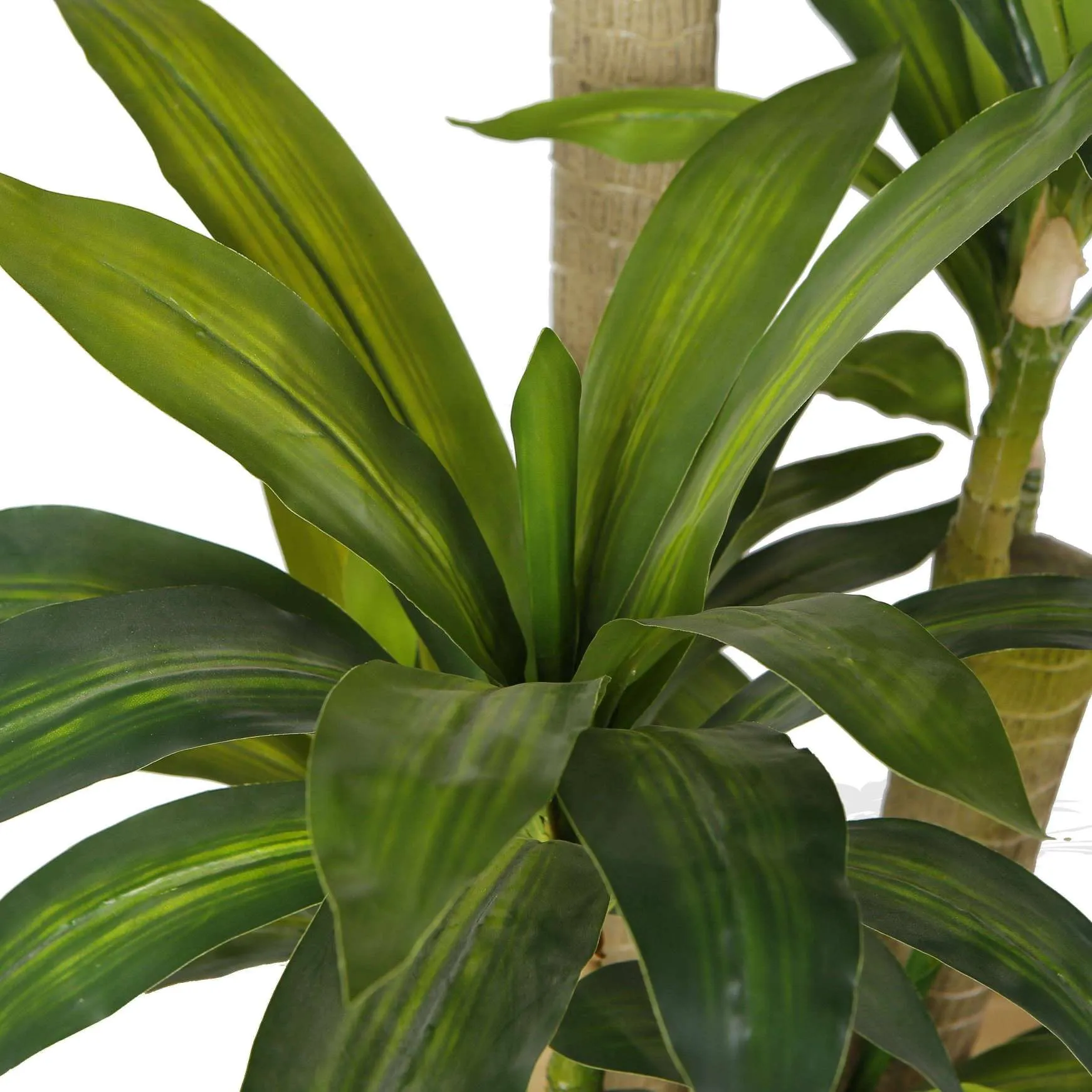 Kunsmatige Draecena Tree Potted Plant (meerdere groottes)