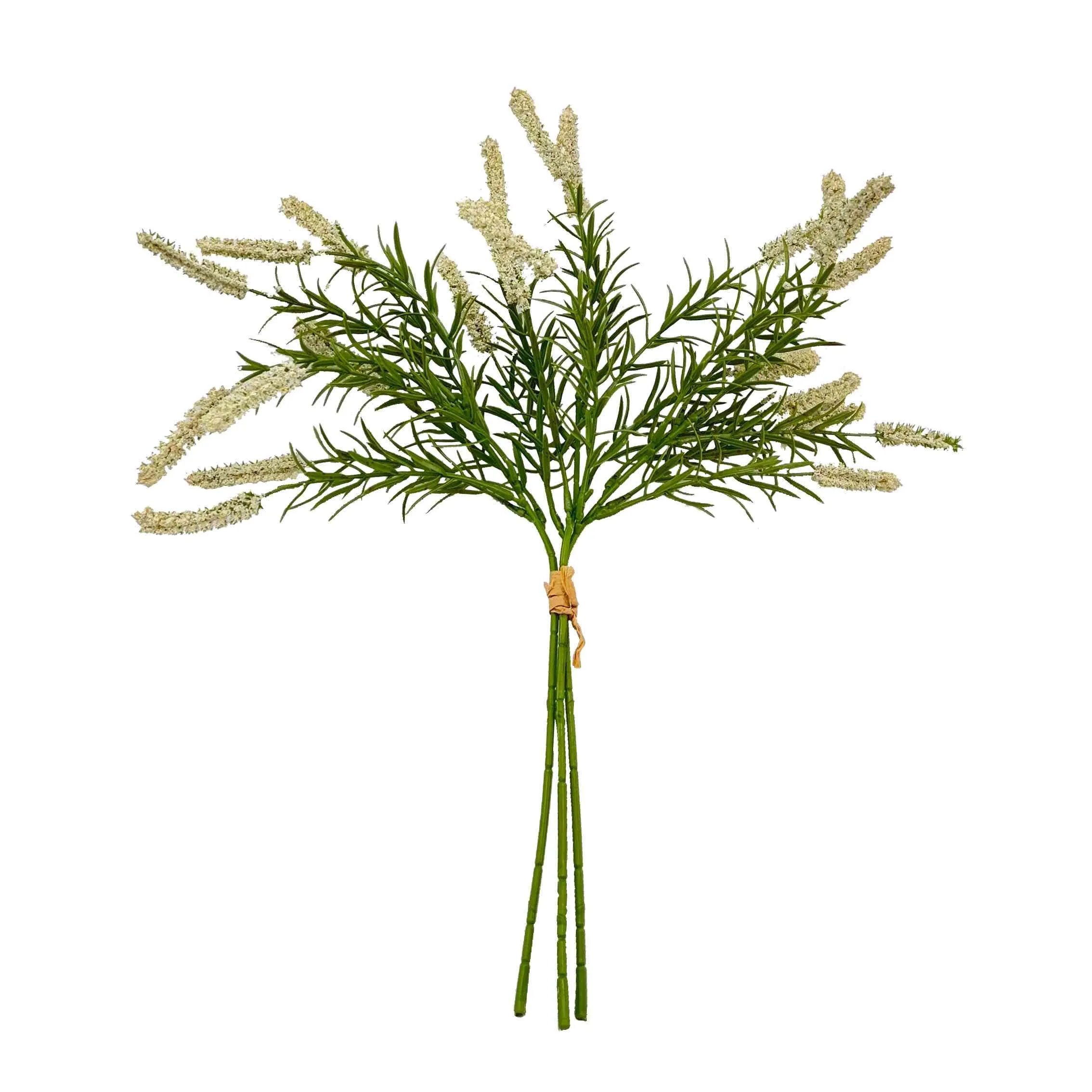 Bundel die rietblomme