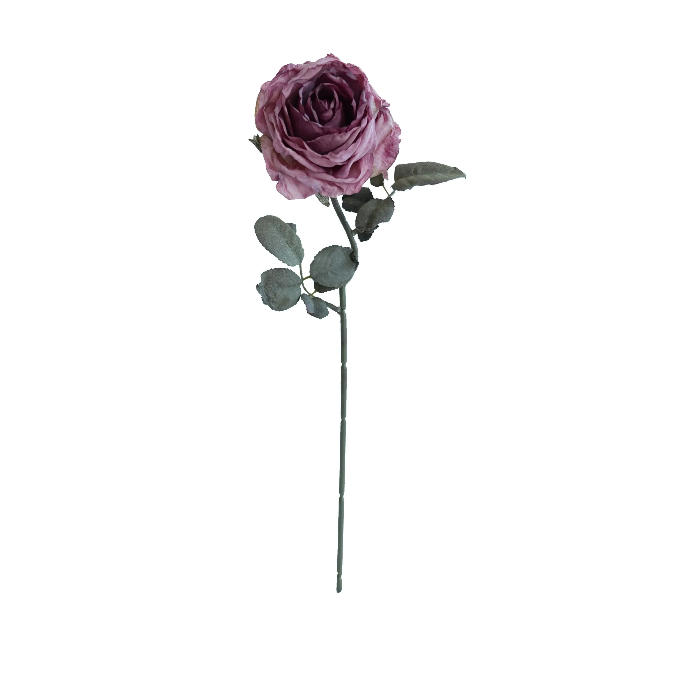 Cork-grense met meerlaagse rose