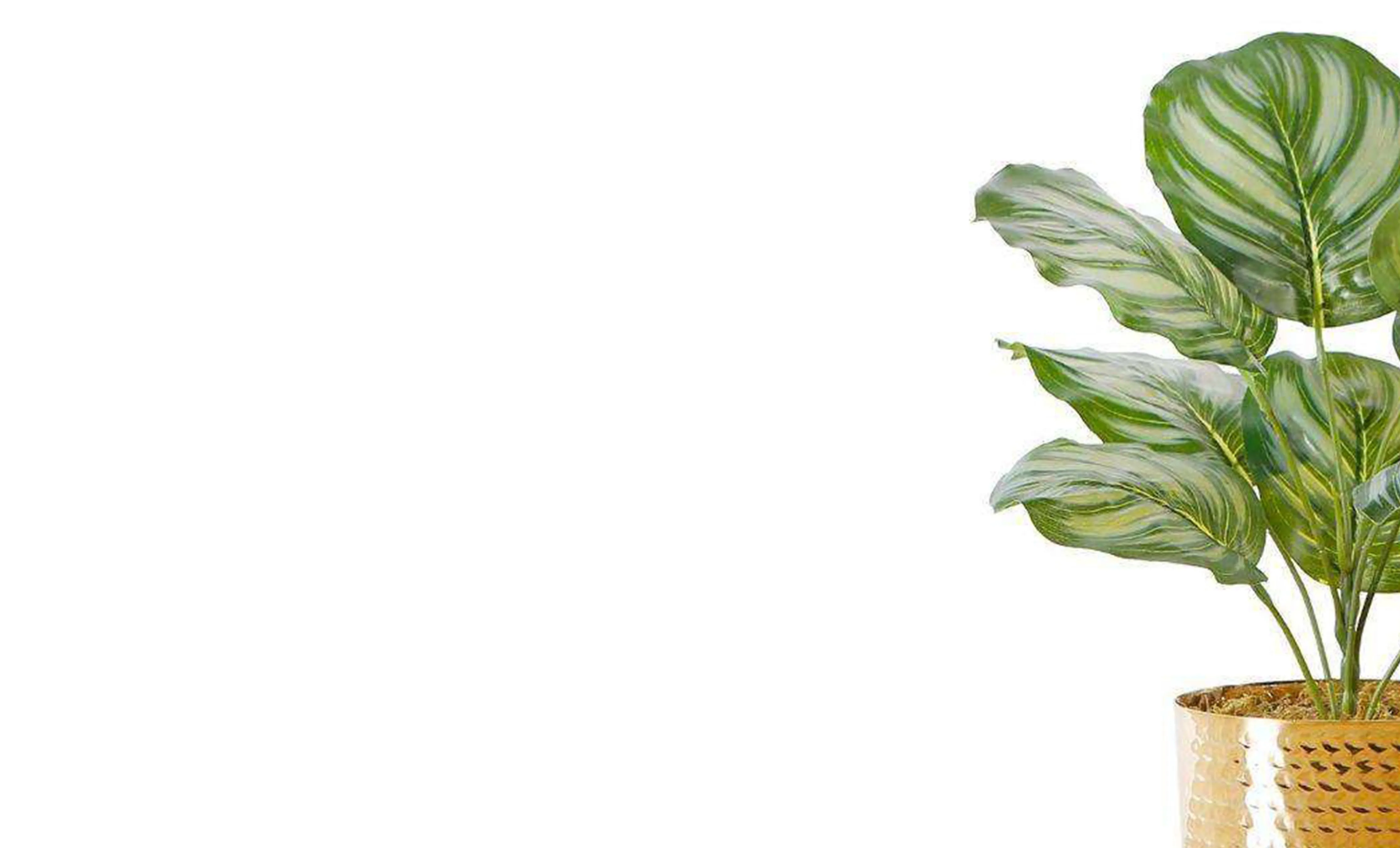 Kunsmatige groen plant