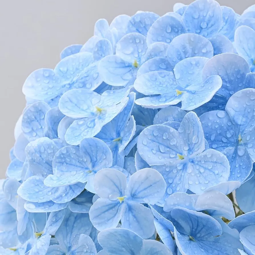 Vals blomme regte aanraking hortensia
