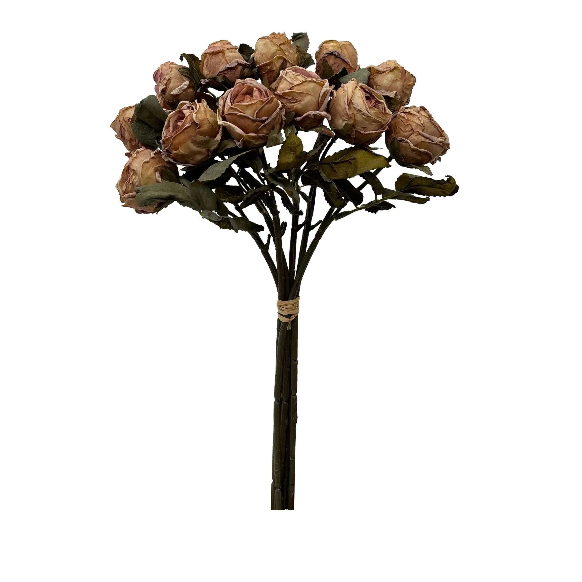 Neem die Venus