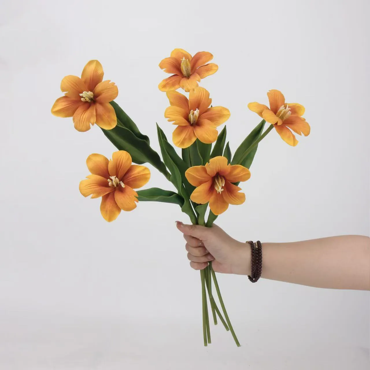 Brownie tulp