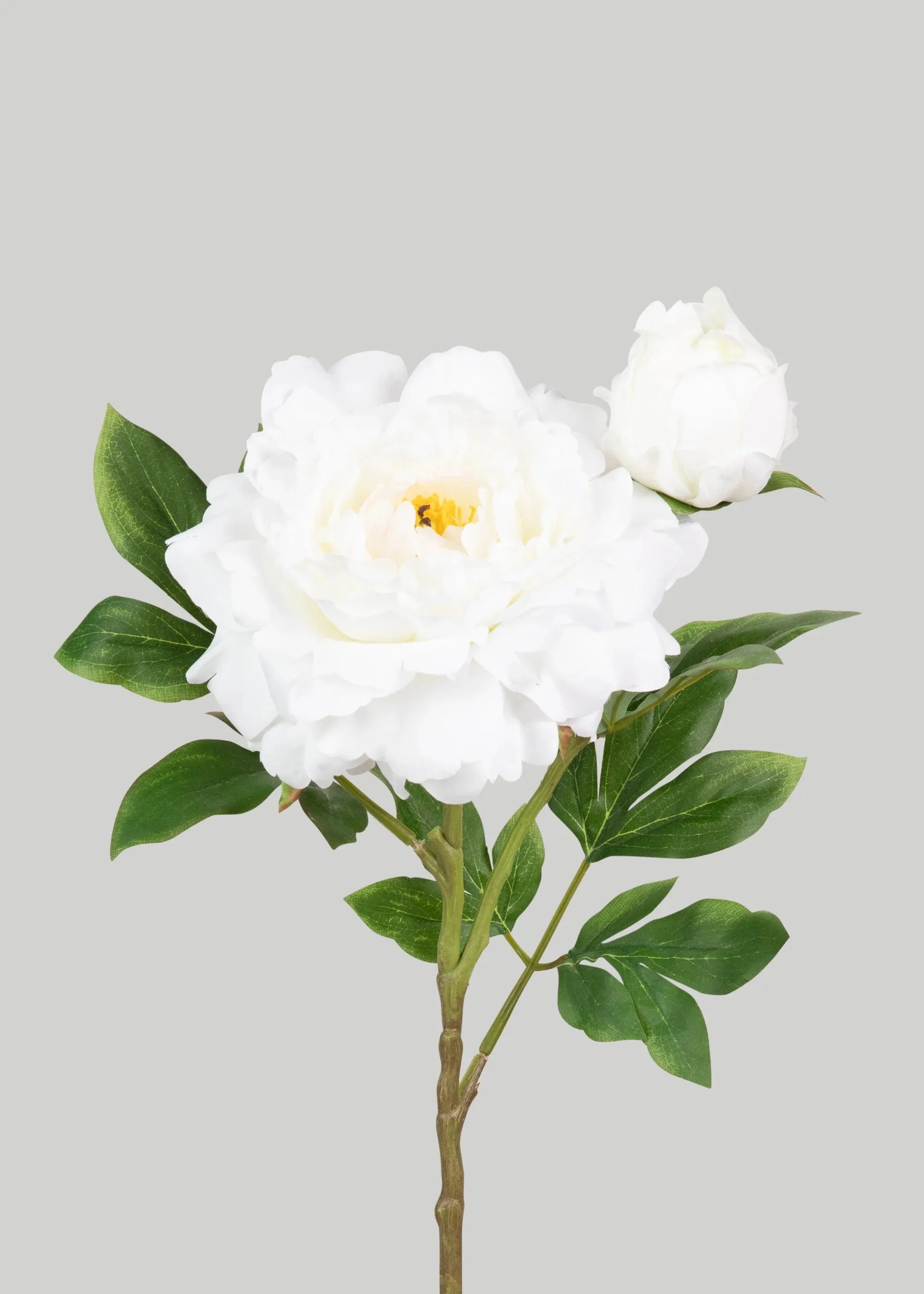 Deluxe pioen vals blom