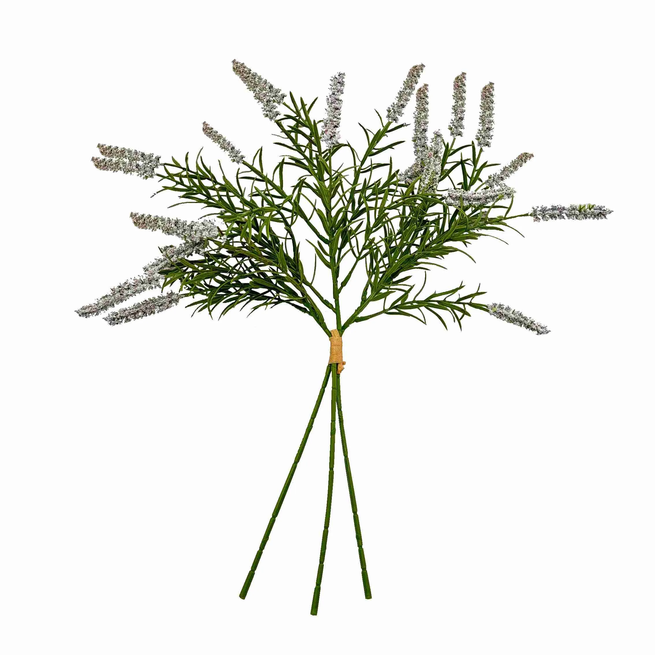 Bundel die rietblomme