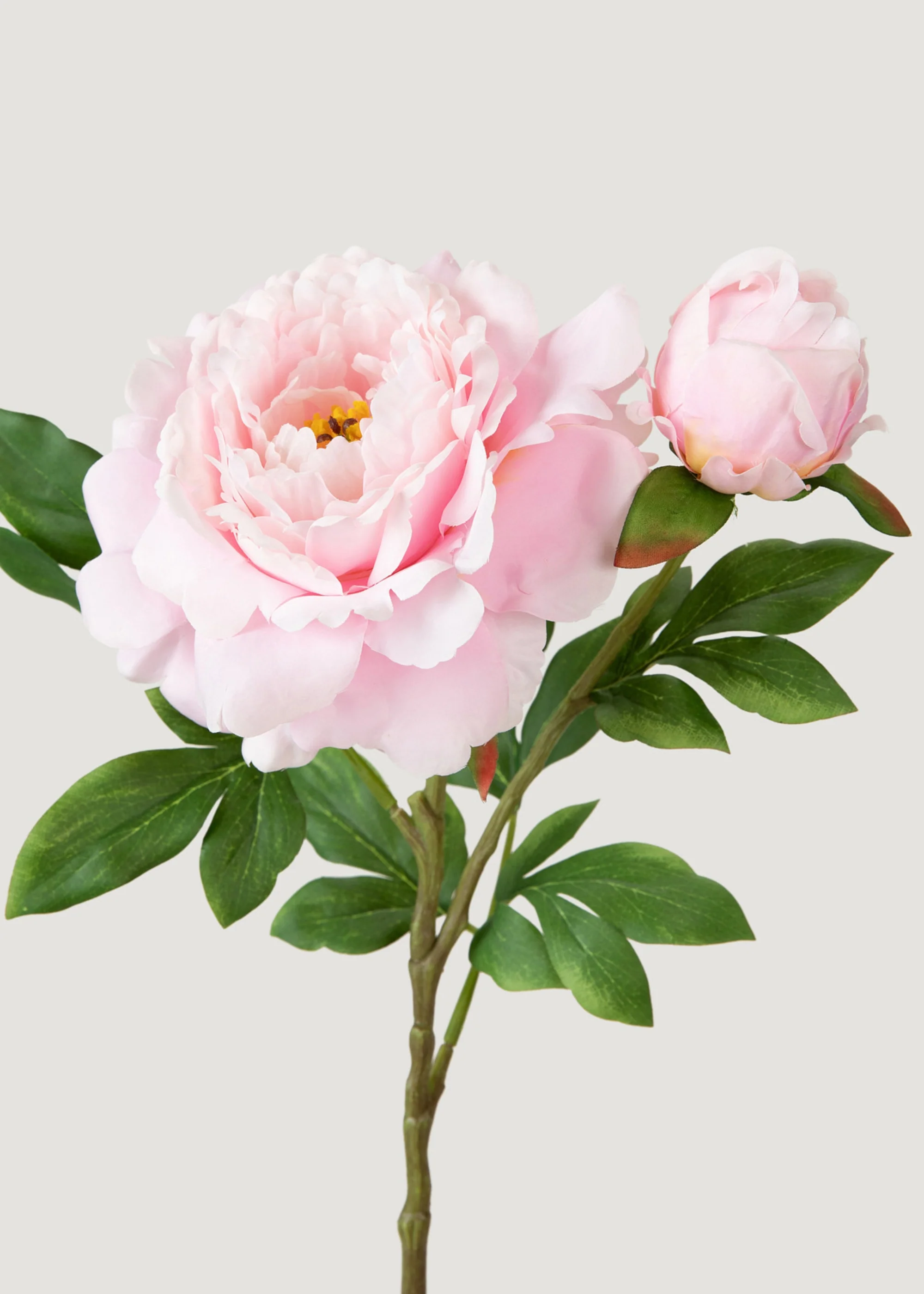 Deluxe pioen vals blom