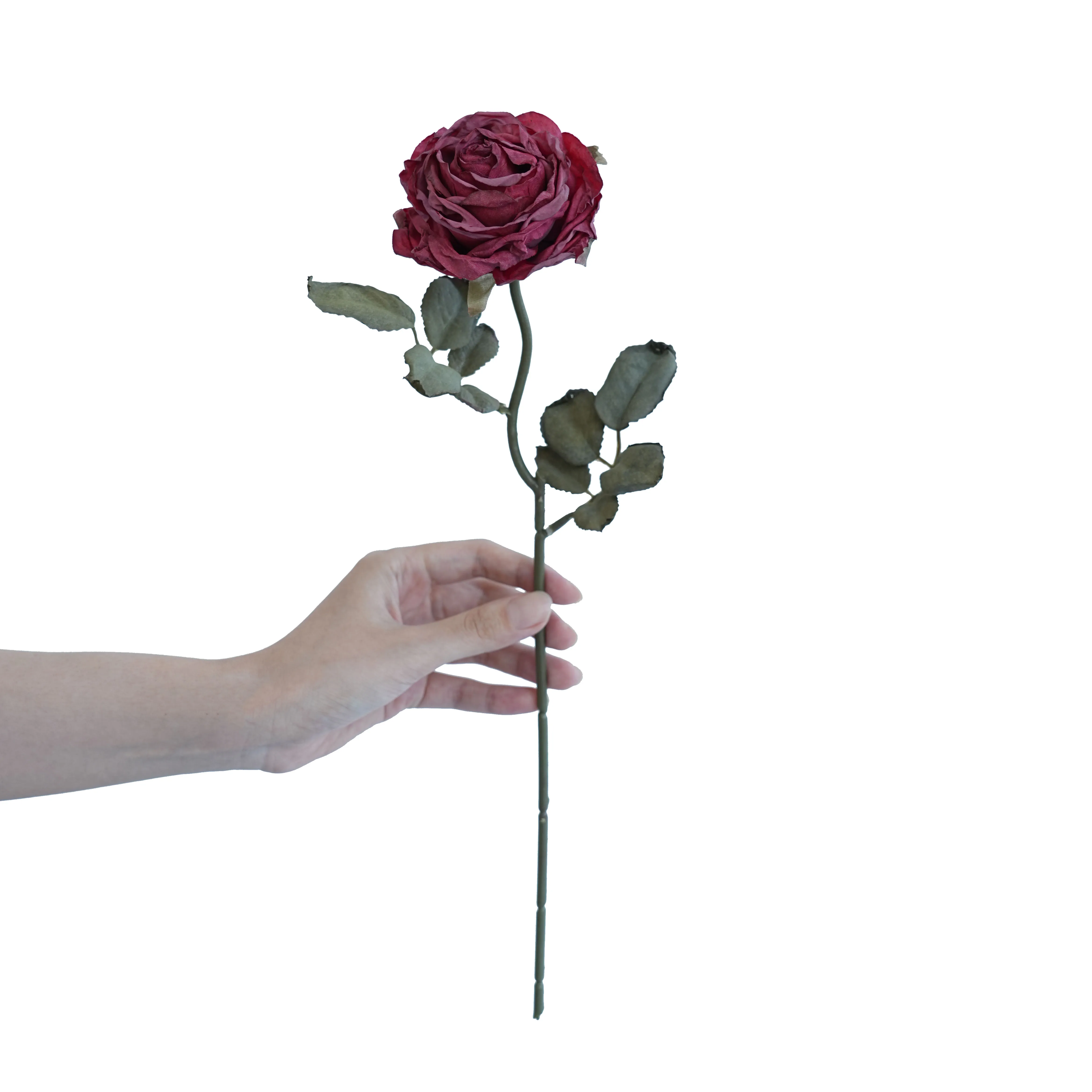 Cork-grense met meerlaagse rose