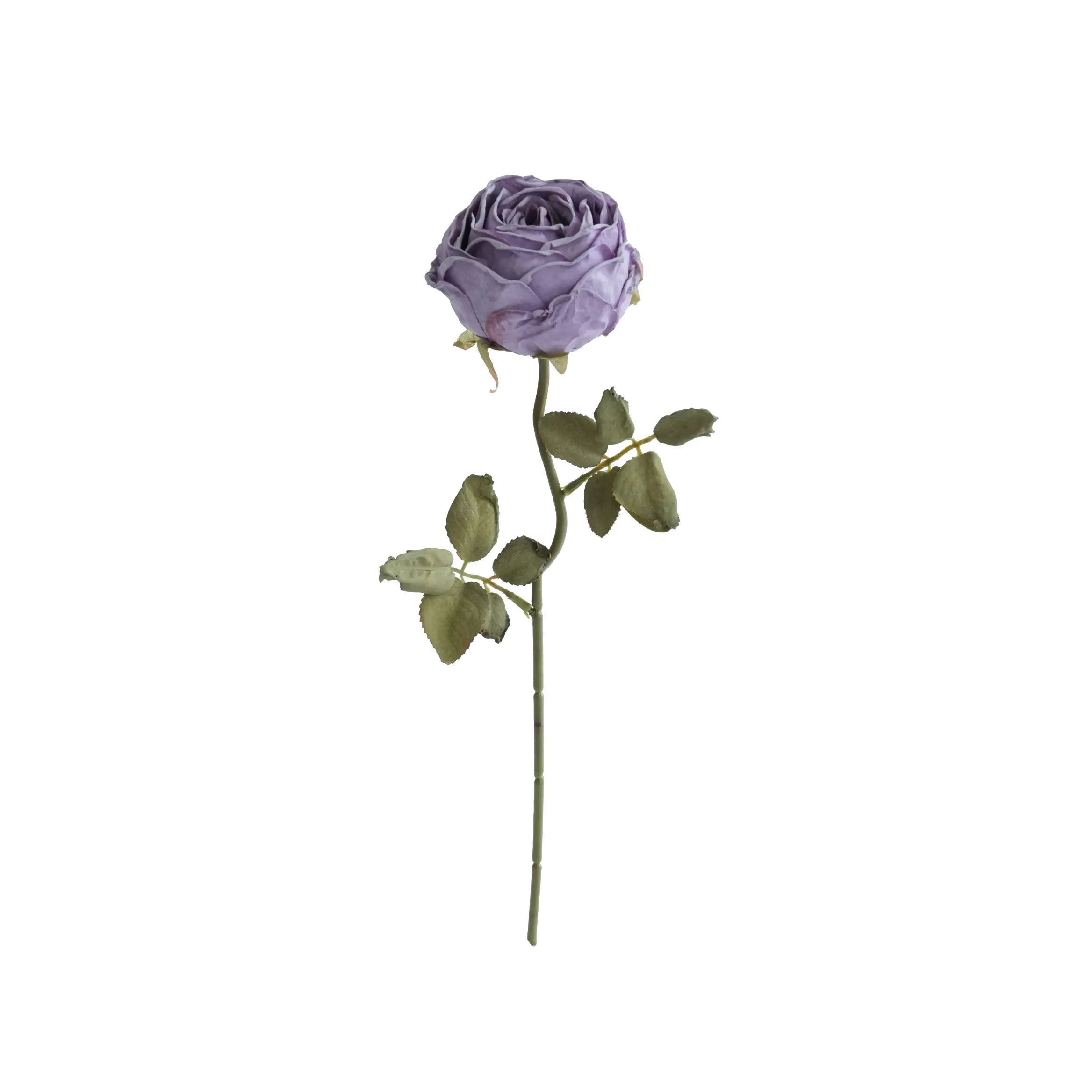 Gekapte ronde rose