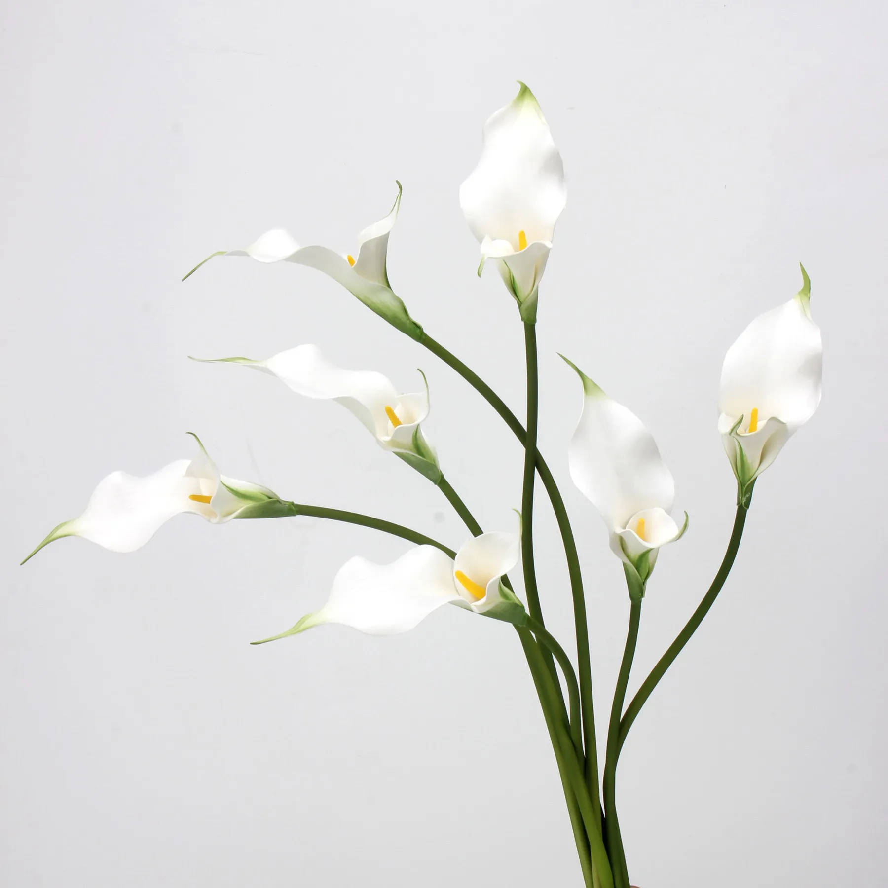 The application of arizona silk flower company