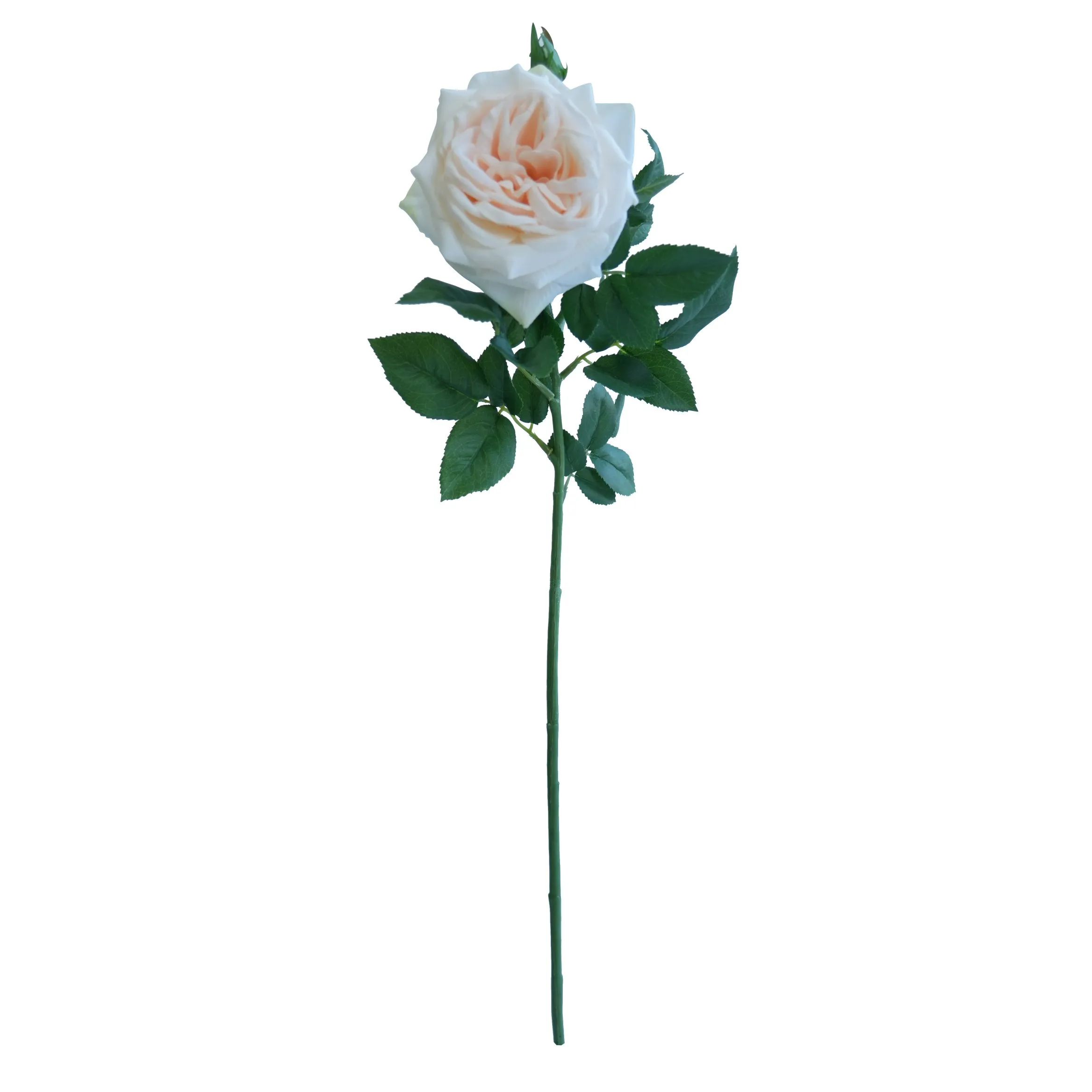 Enkel Lychee Rose