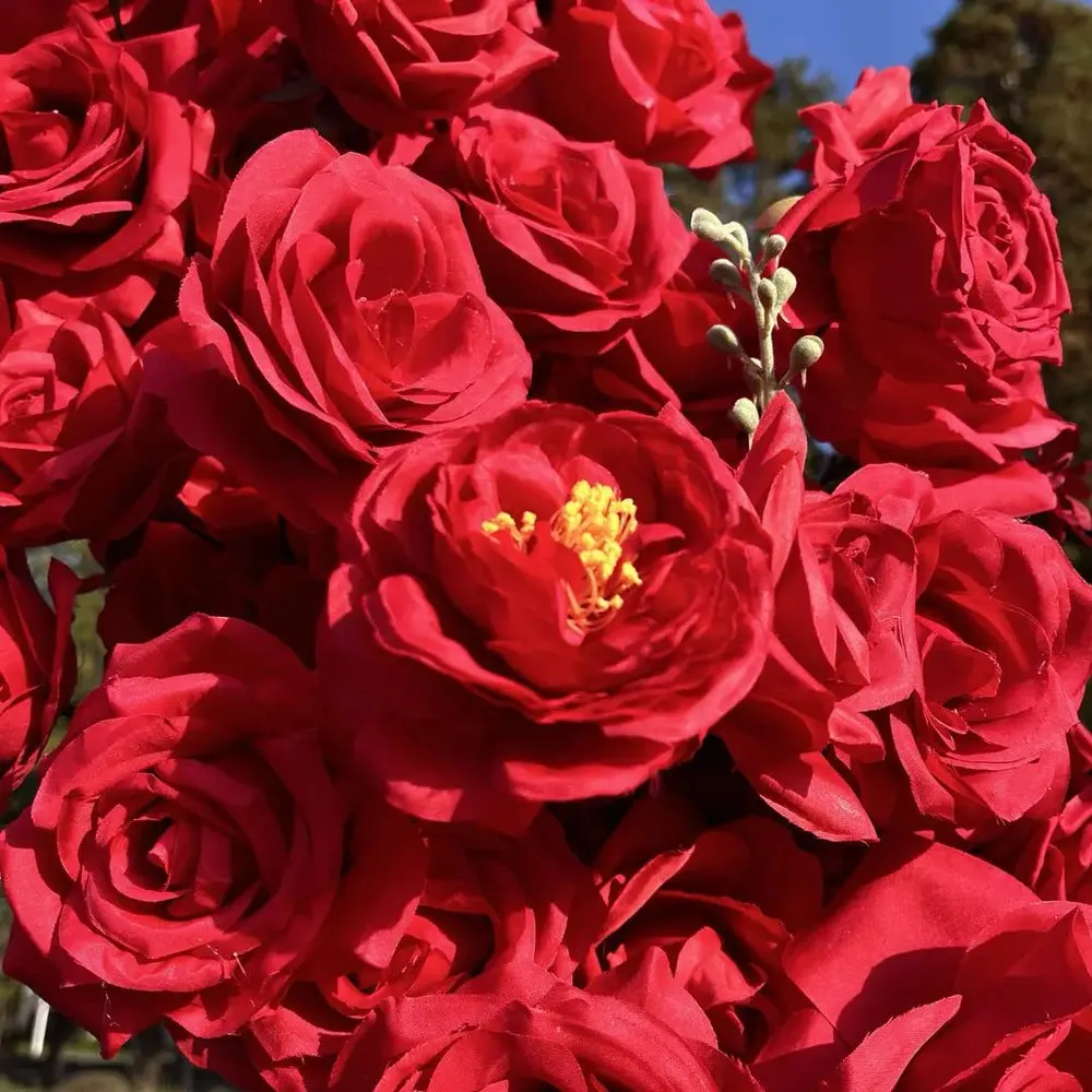 Yblioouke blomme muurstof opgerolde gordyn blomme agtergrond troupartytjie voorstel dekor