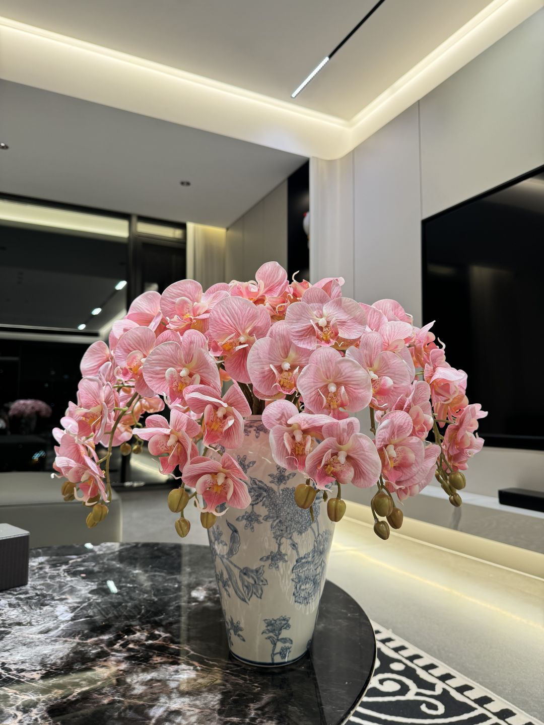 Phalaenopsis orgidee