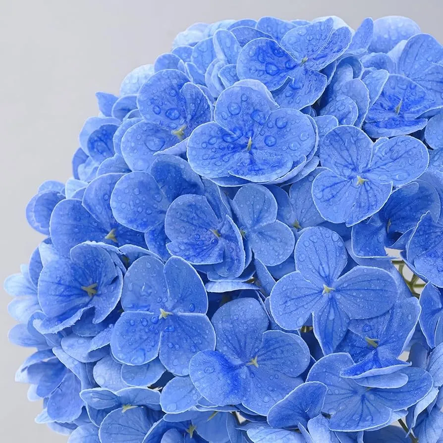 Vals blomme regte aanraking hortensia