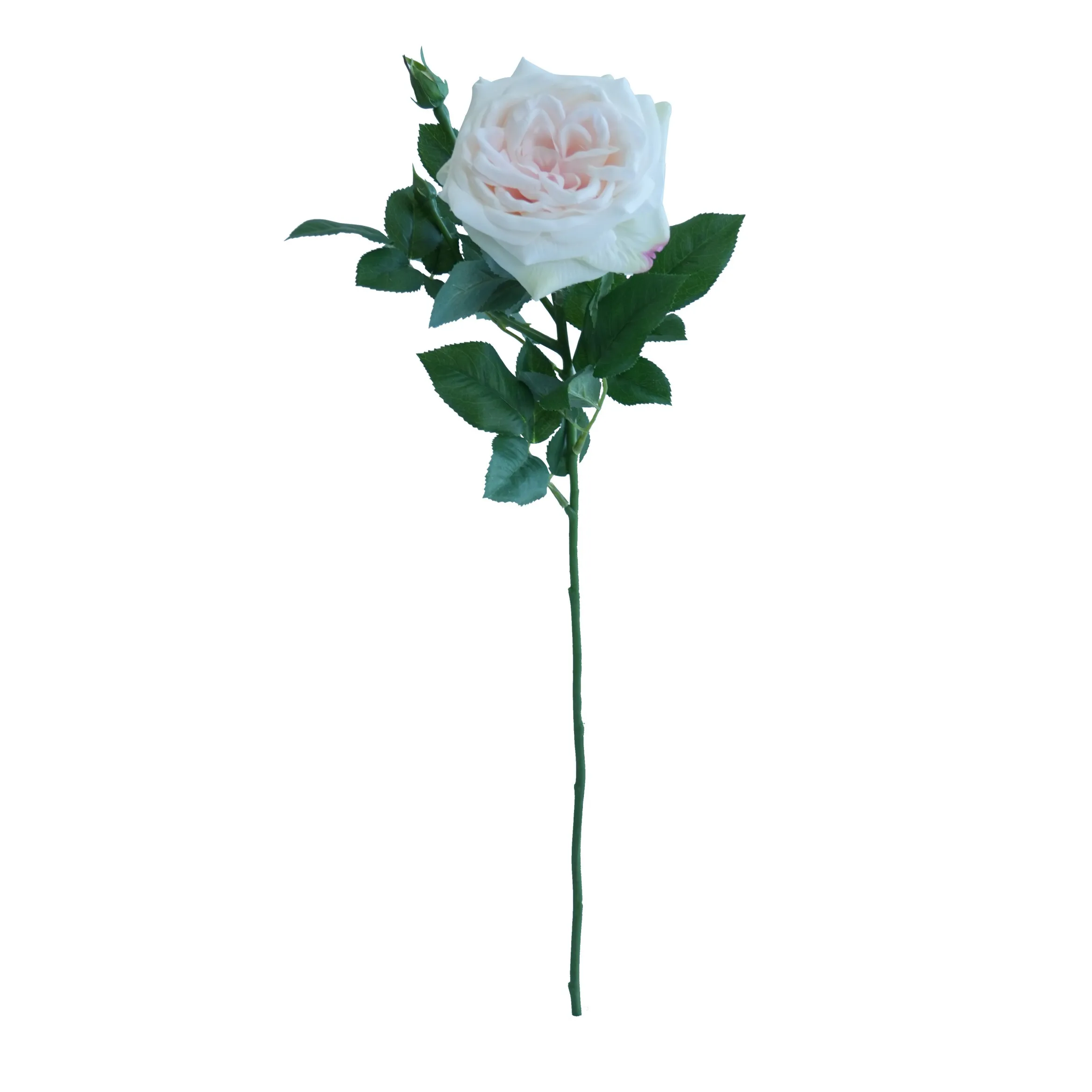 Enkel Lychee Rose