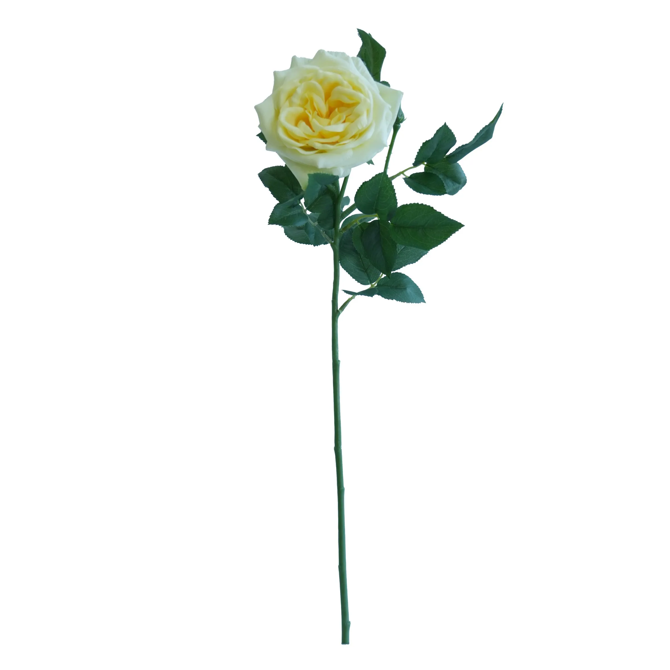 Enkel Lychee Rose