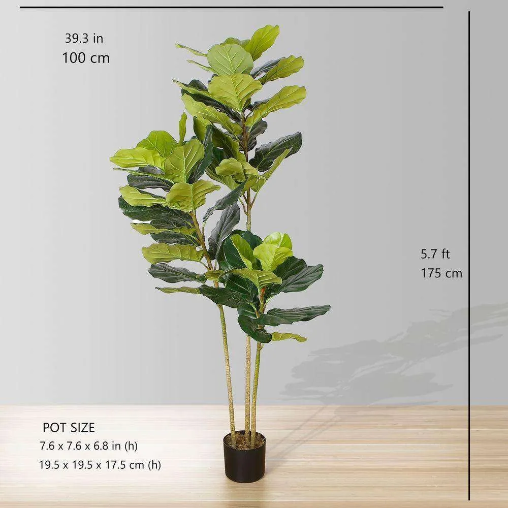 Lyrata Kunsmatige vroetelblaarpotplant (meerdere groottes)