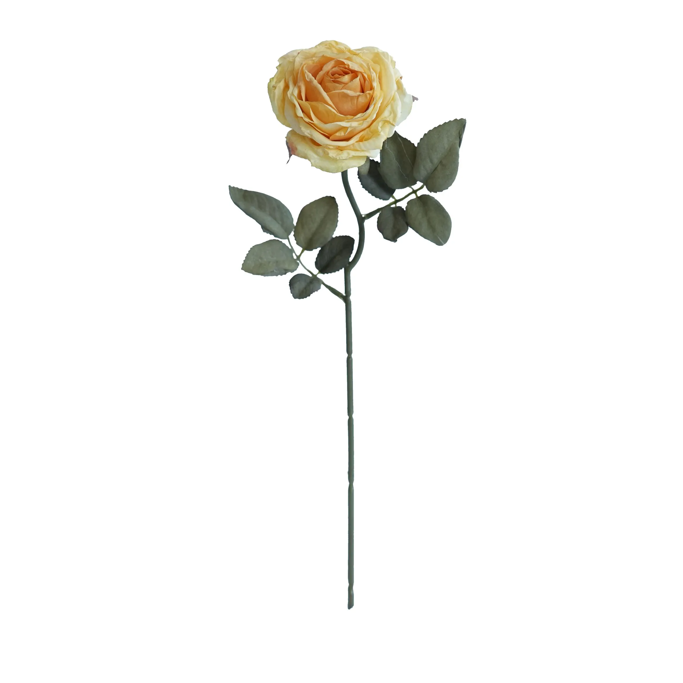 Cork-grense met meerlaagse rose