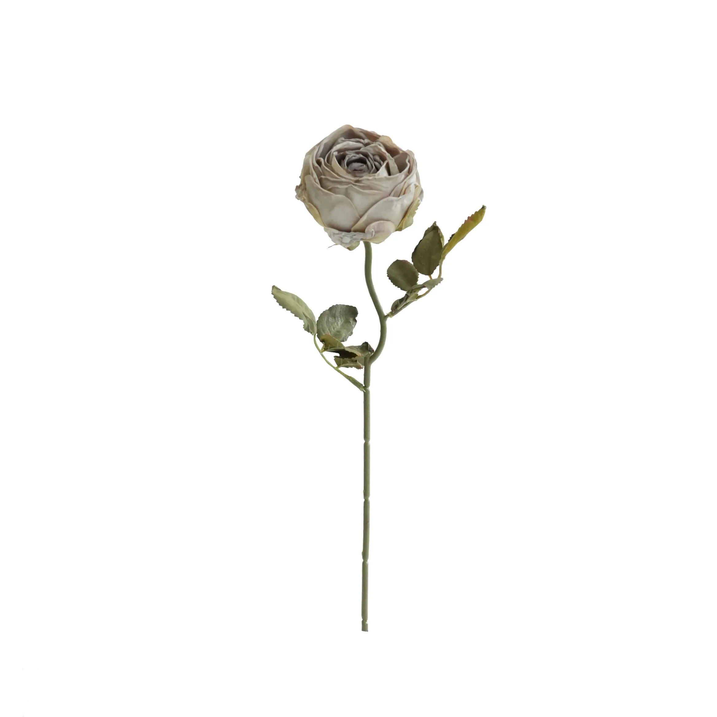 Gekapte ronde rose