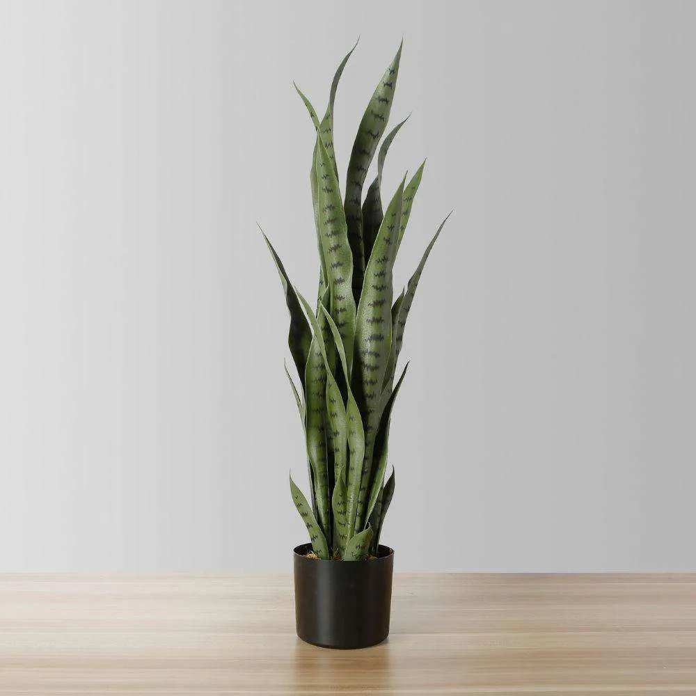 Kunsmatige slang Sansevieria groen potplant