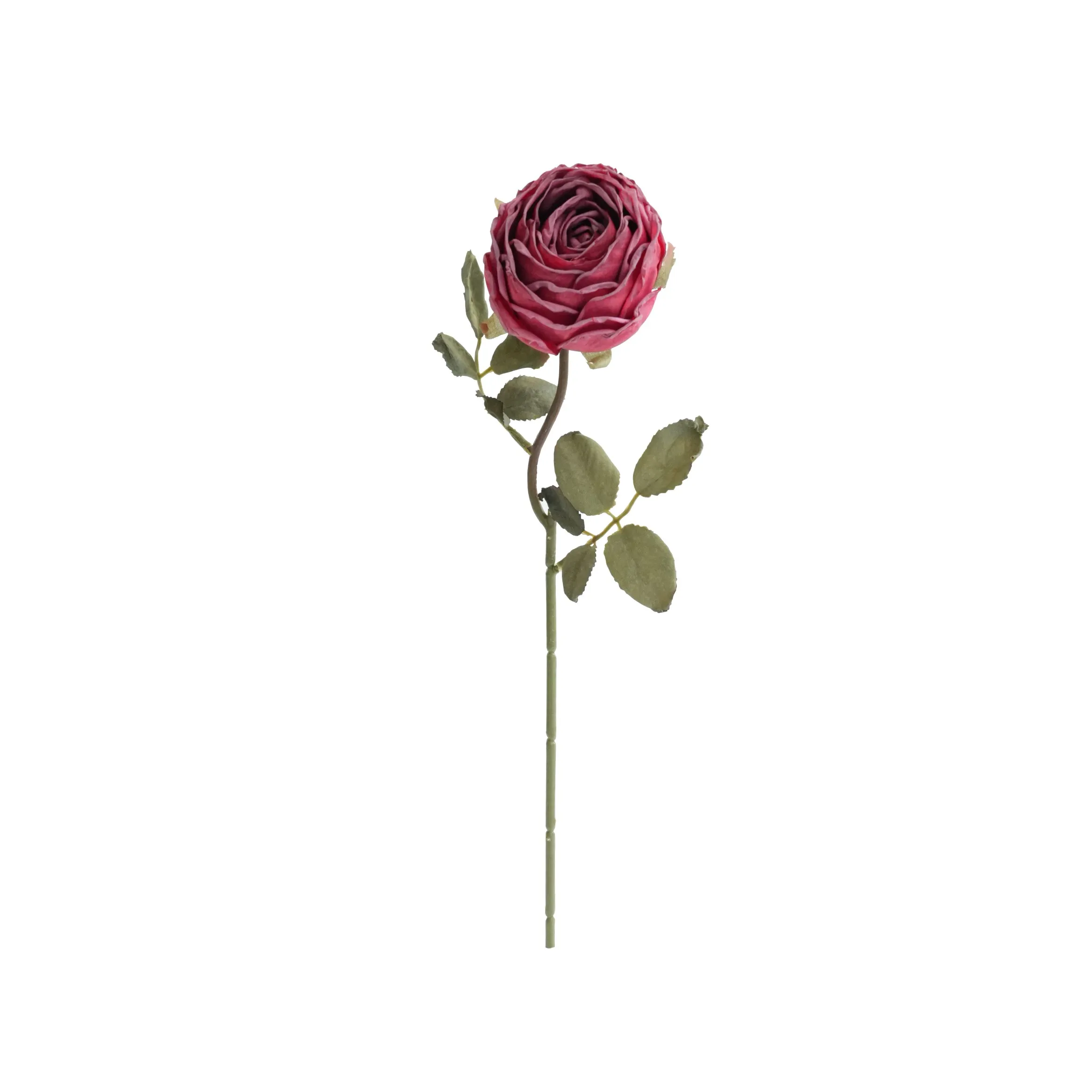 Gekapte ronde rose