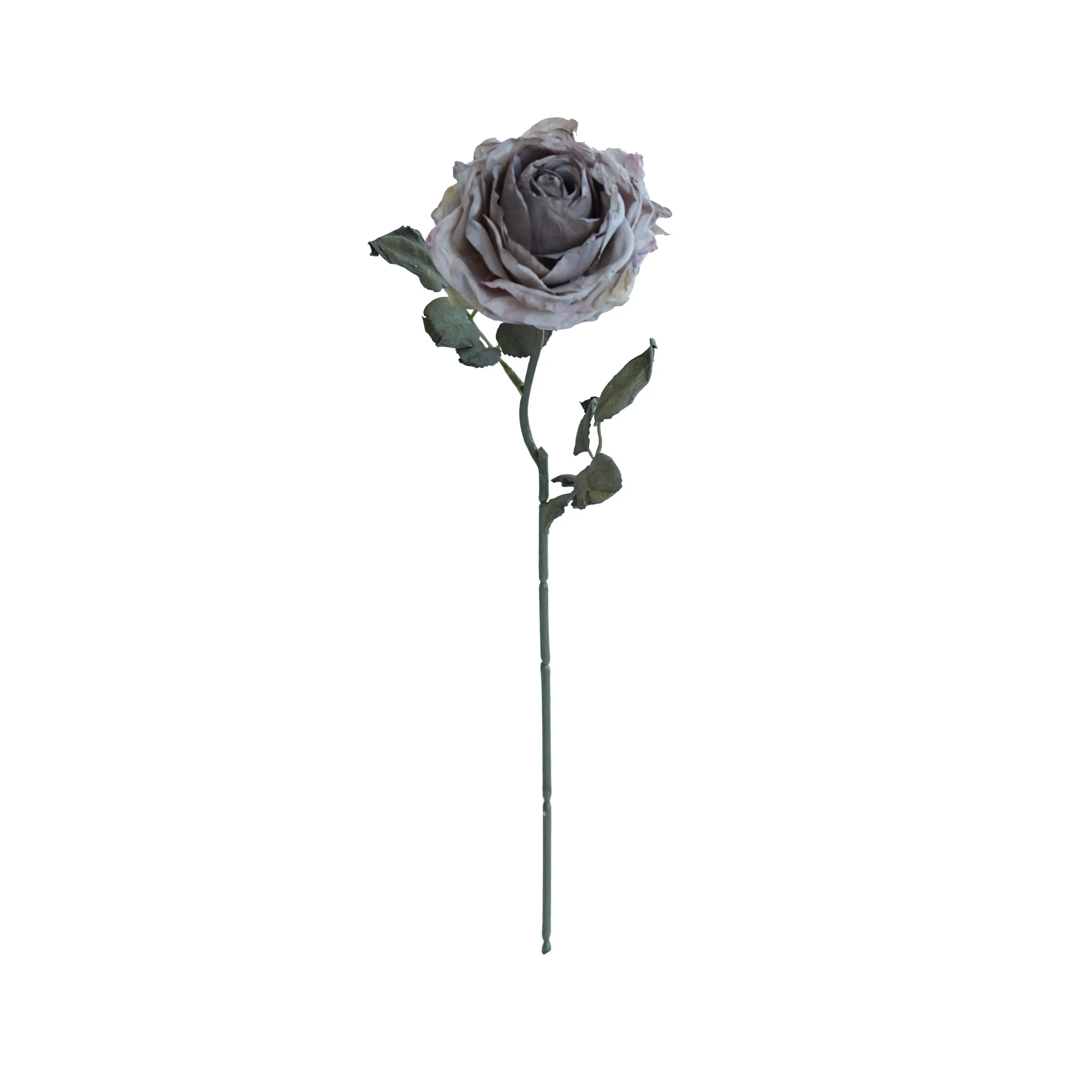 Cork-grense met meerlaagse rose