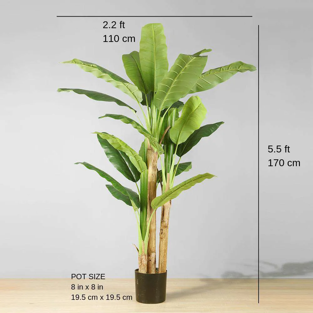 Anna kunsmatige piesangboom potplant