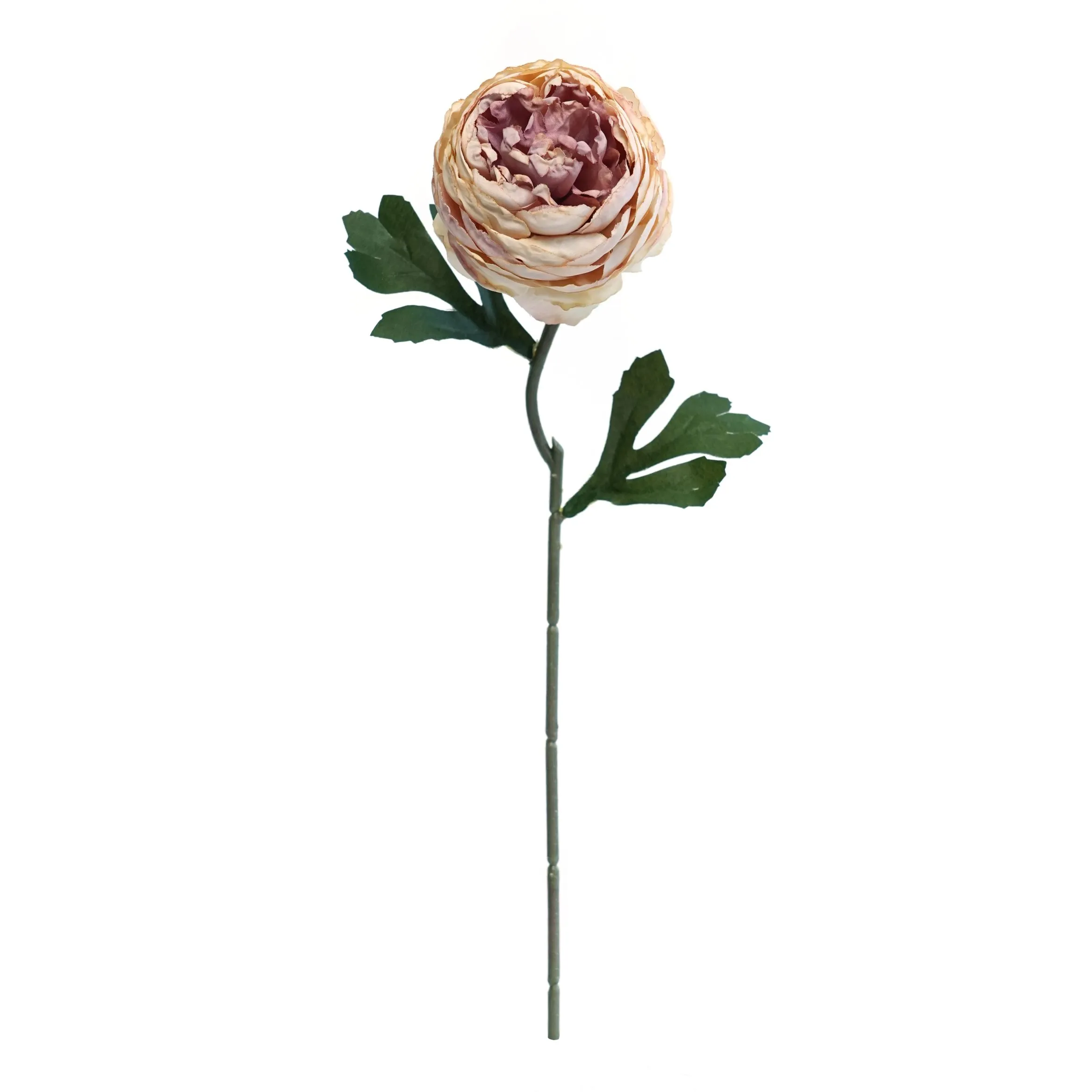 Gekapte teepruimte