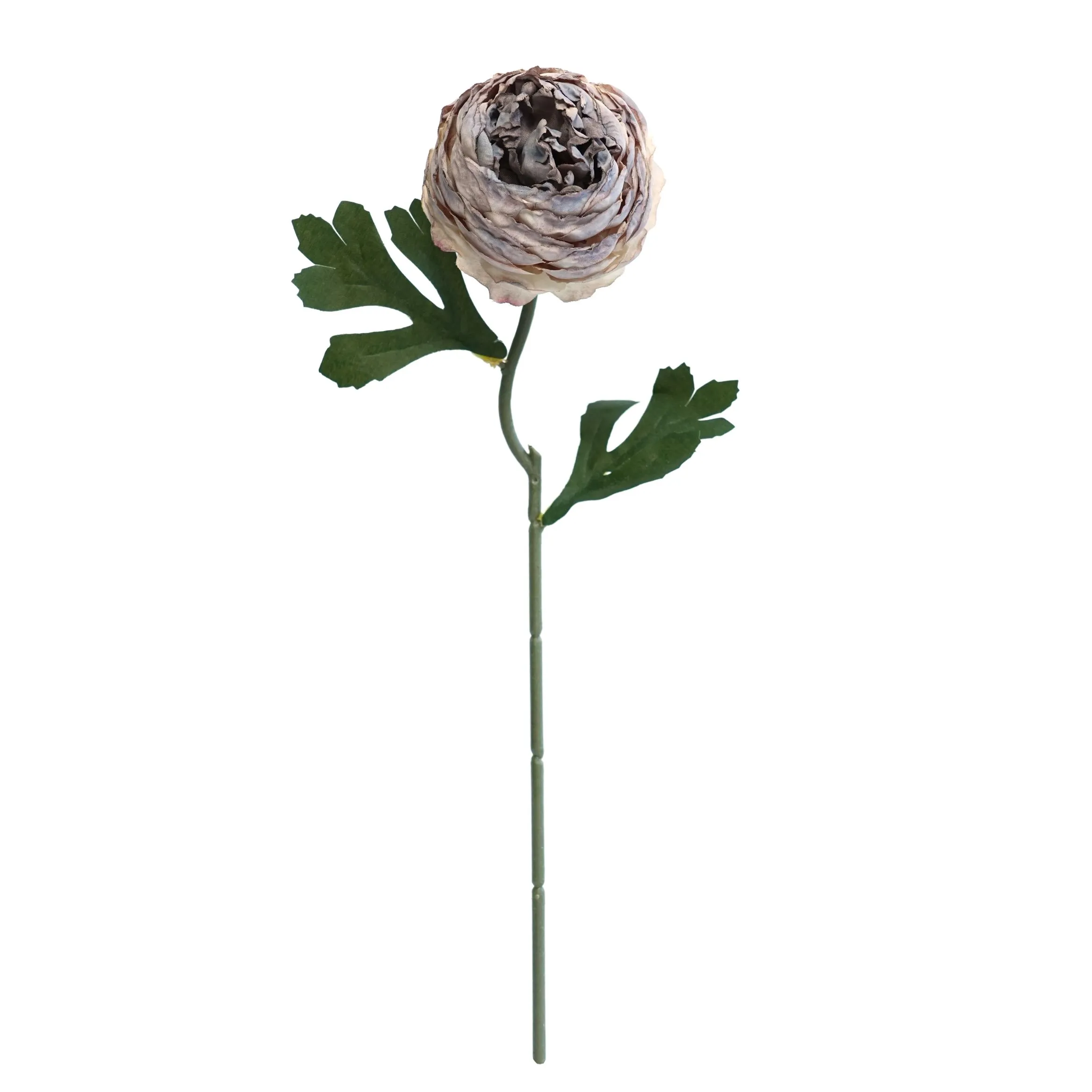 Gekapte teepruimte