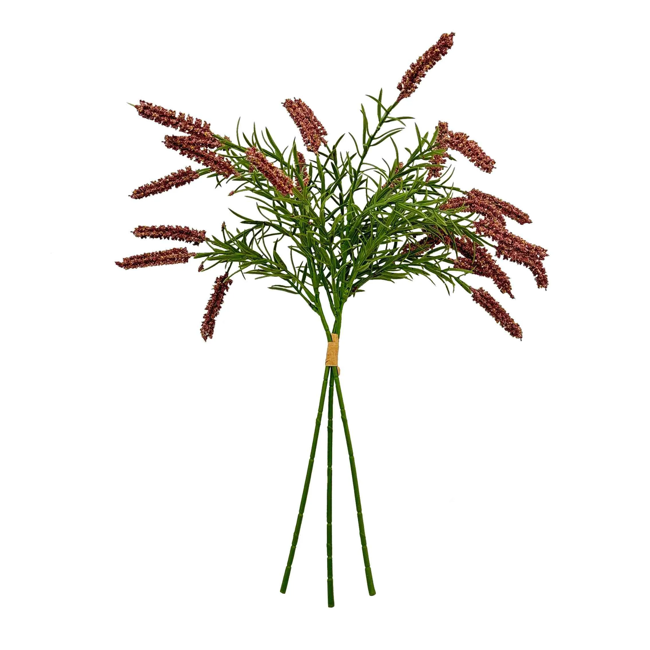 Bundel die rietblomme