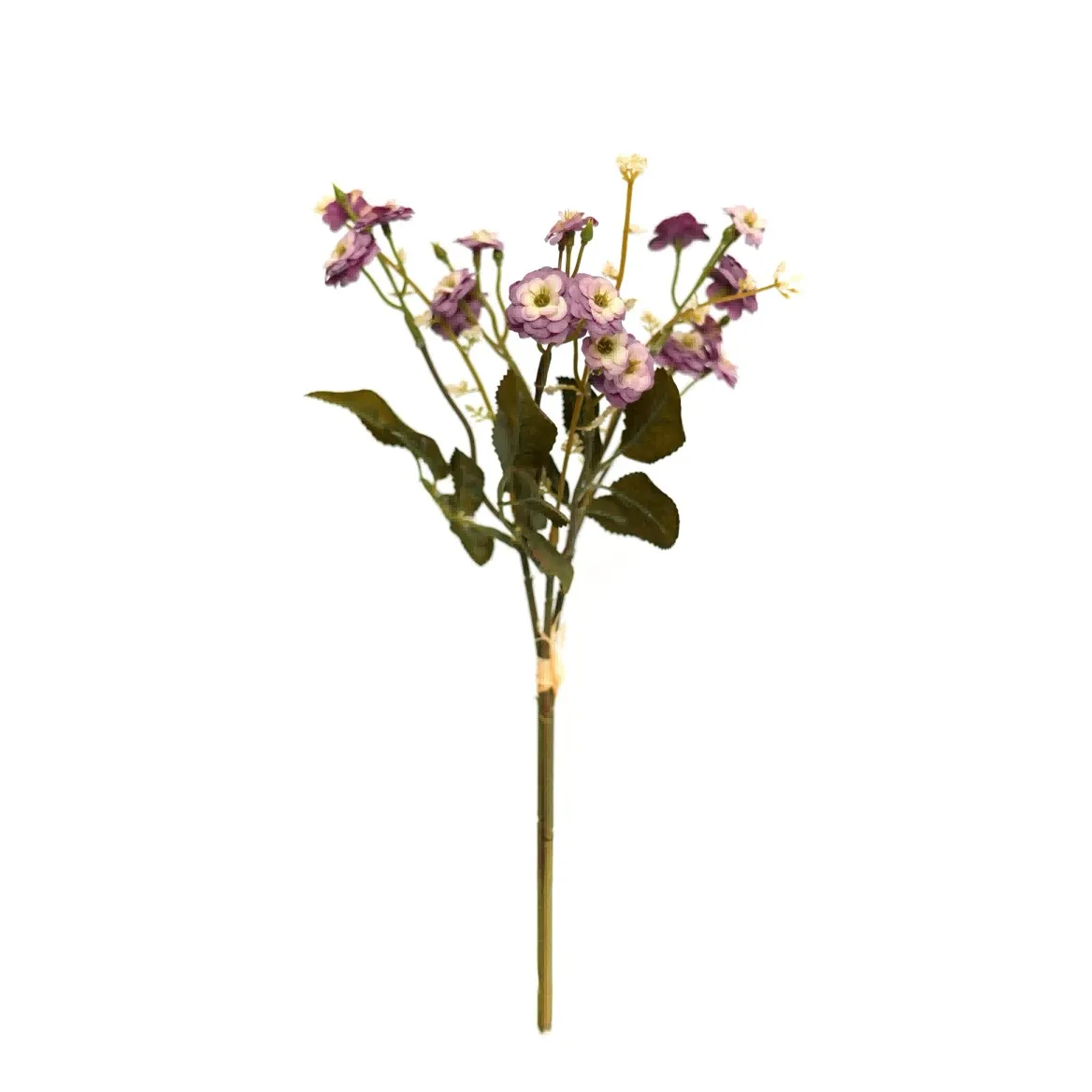 Klein rose