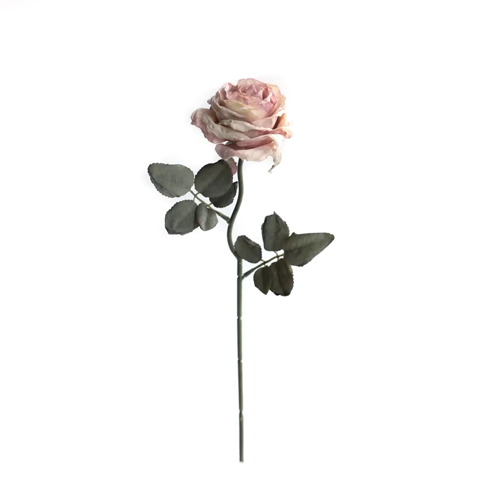 Cork-grense met meerlaagse rose
