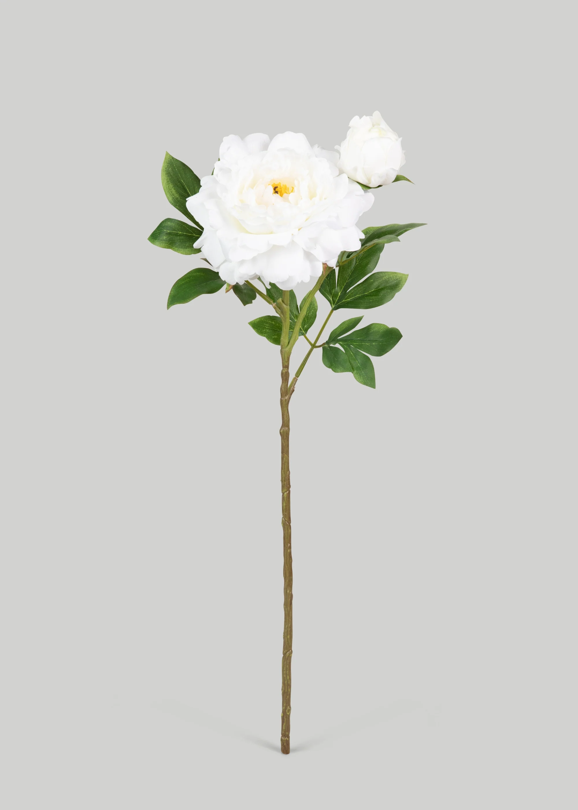 Deluxe pioen vals blom