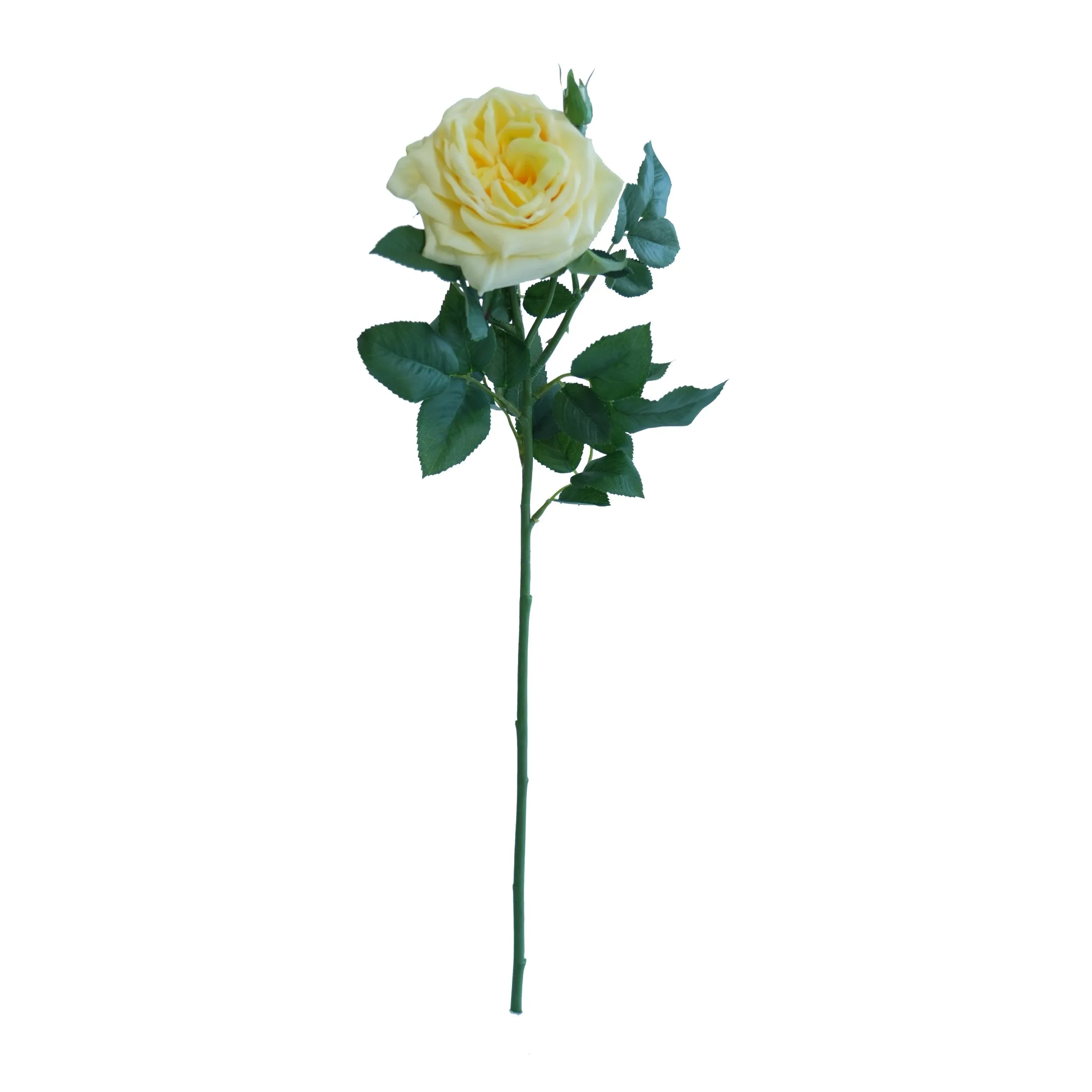 Enkel Lychee Rose