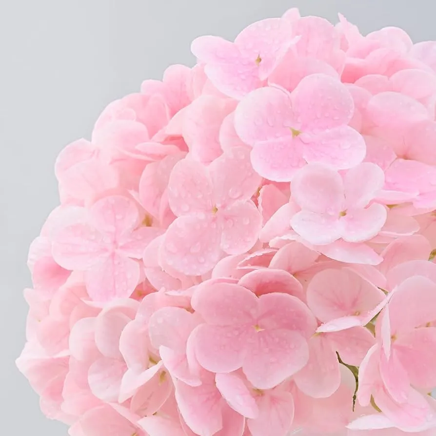 Vals blomme regte aanraking hortensia