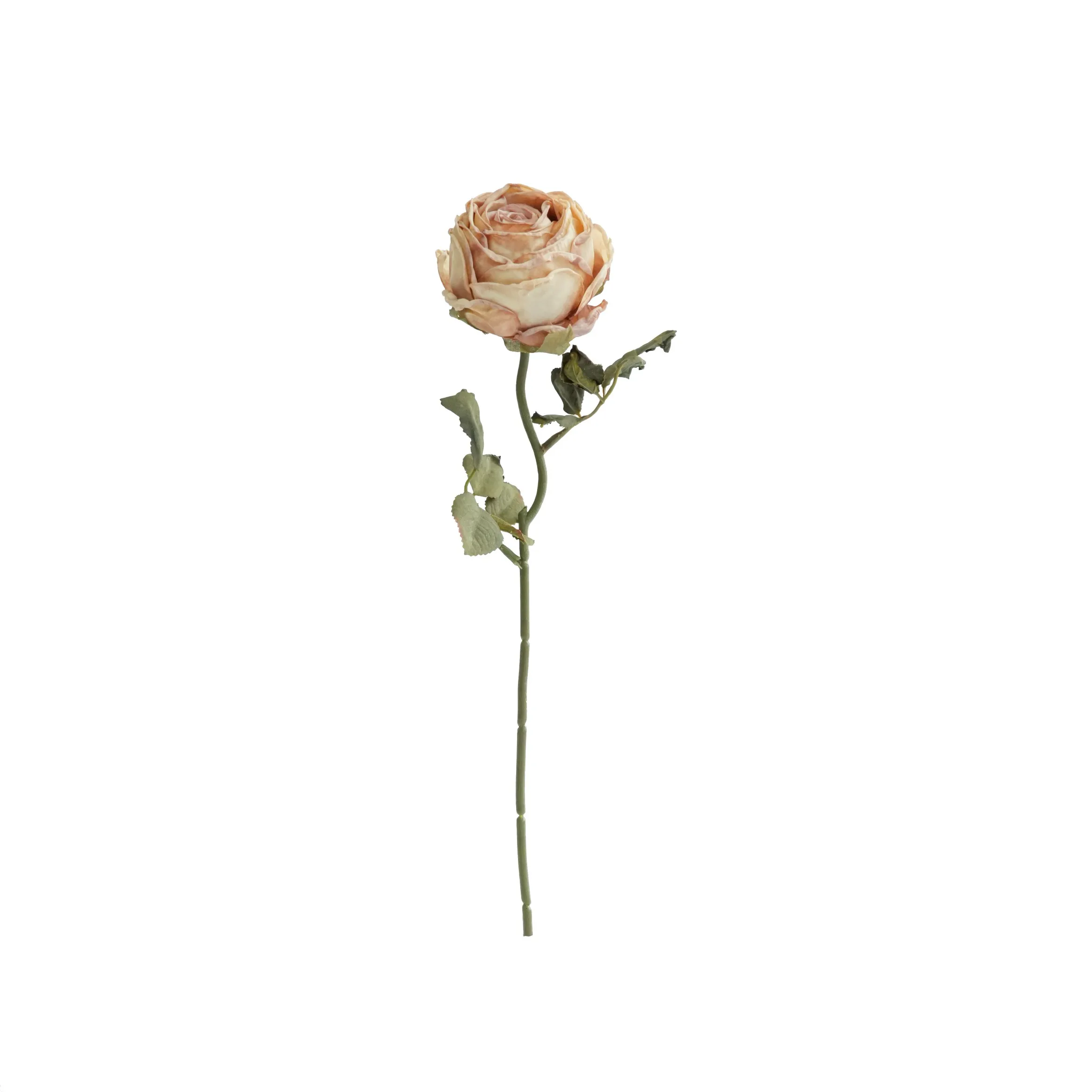 Gekapte ronde rose