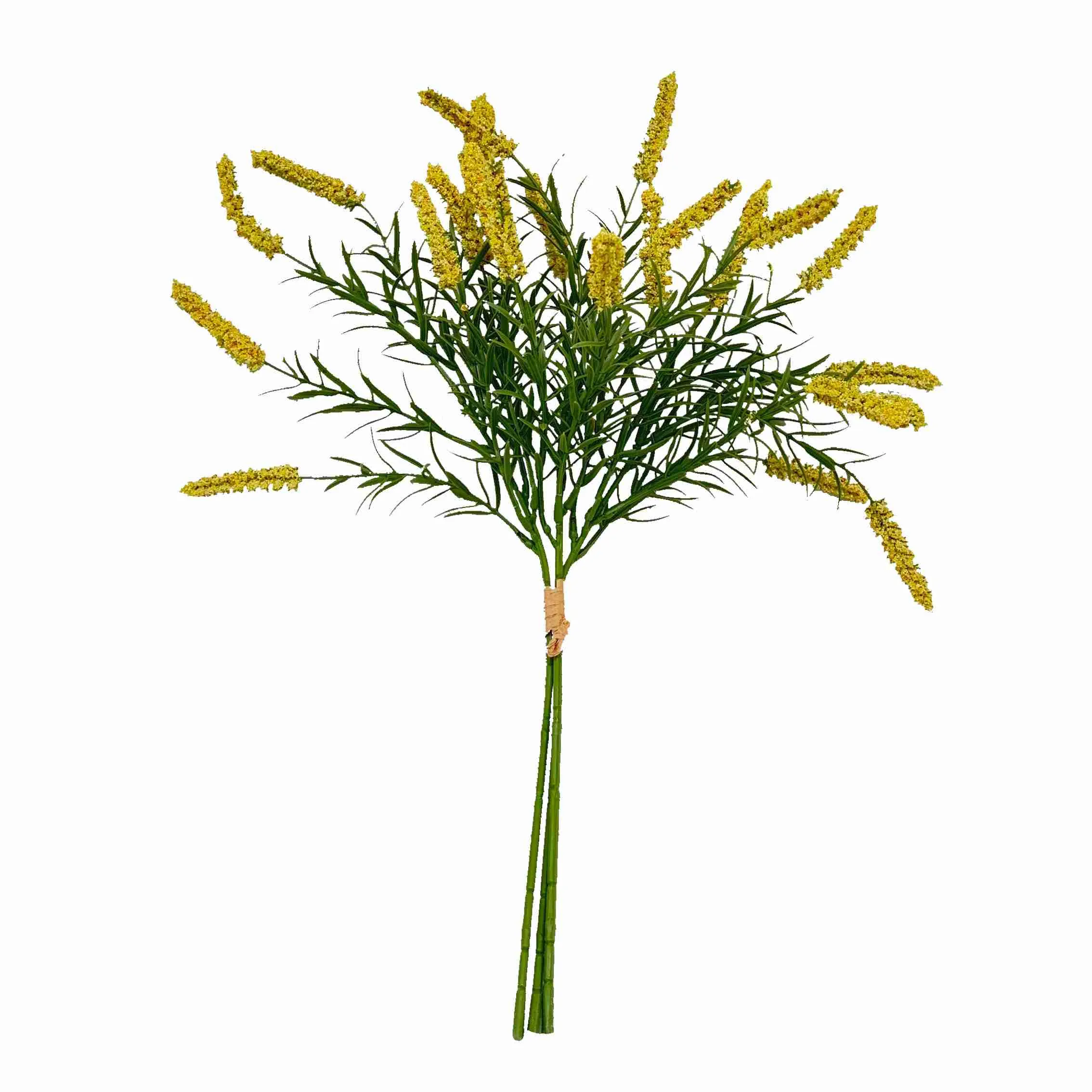 Bundel die rietblomme