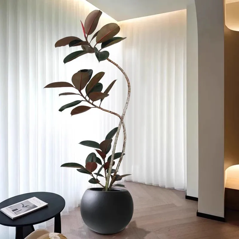 Kunsmatige rubberpotplant