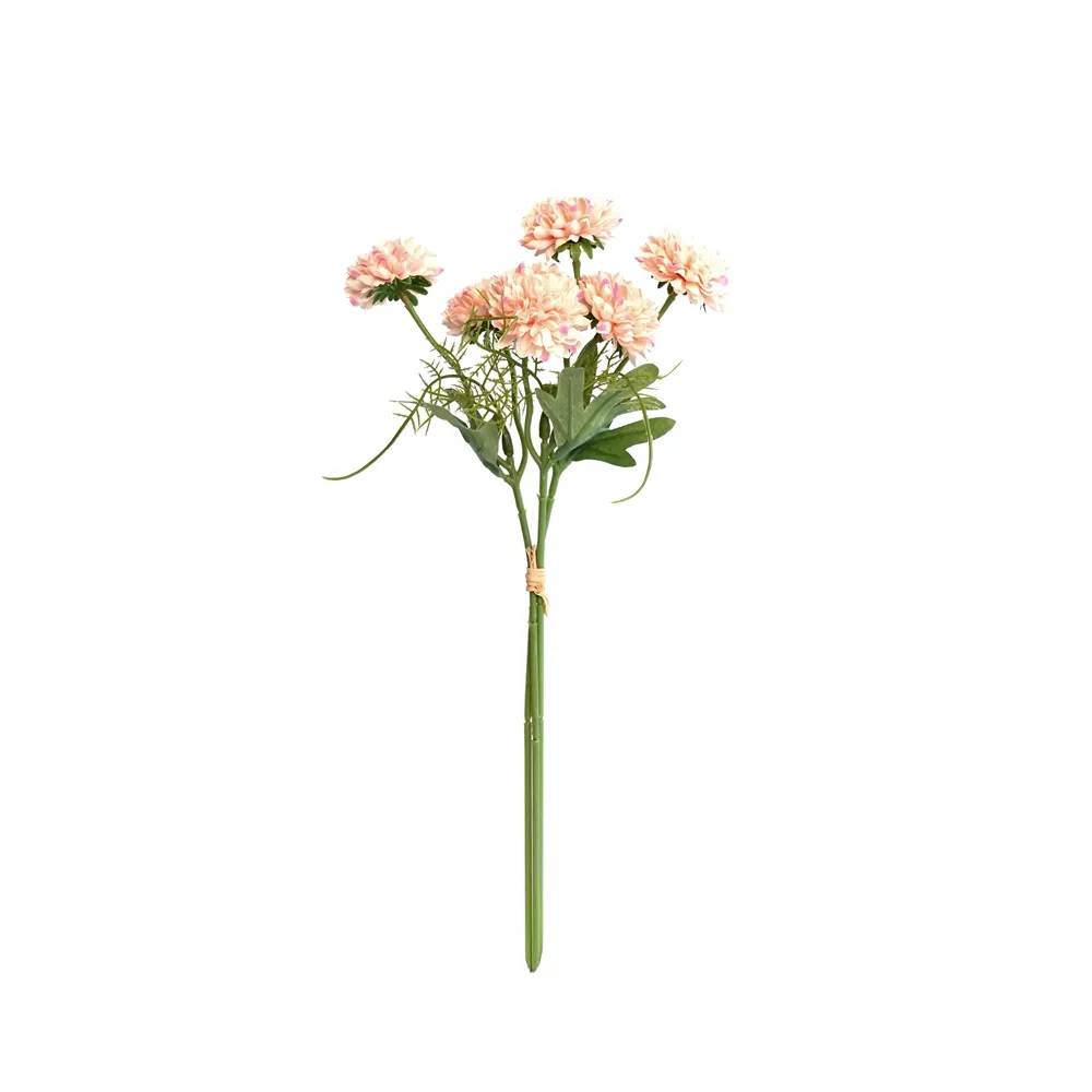 'N klomp chrysanthemums