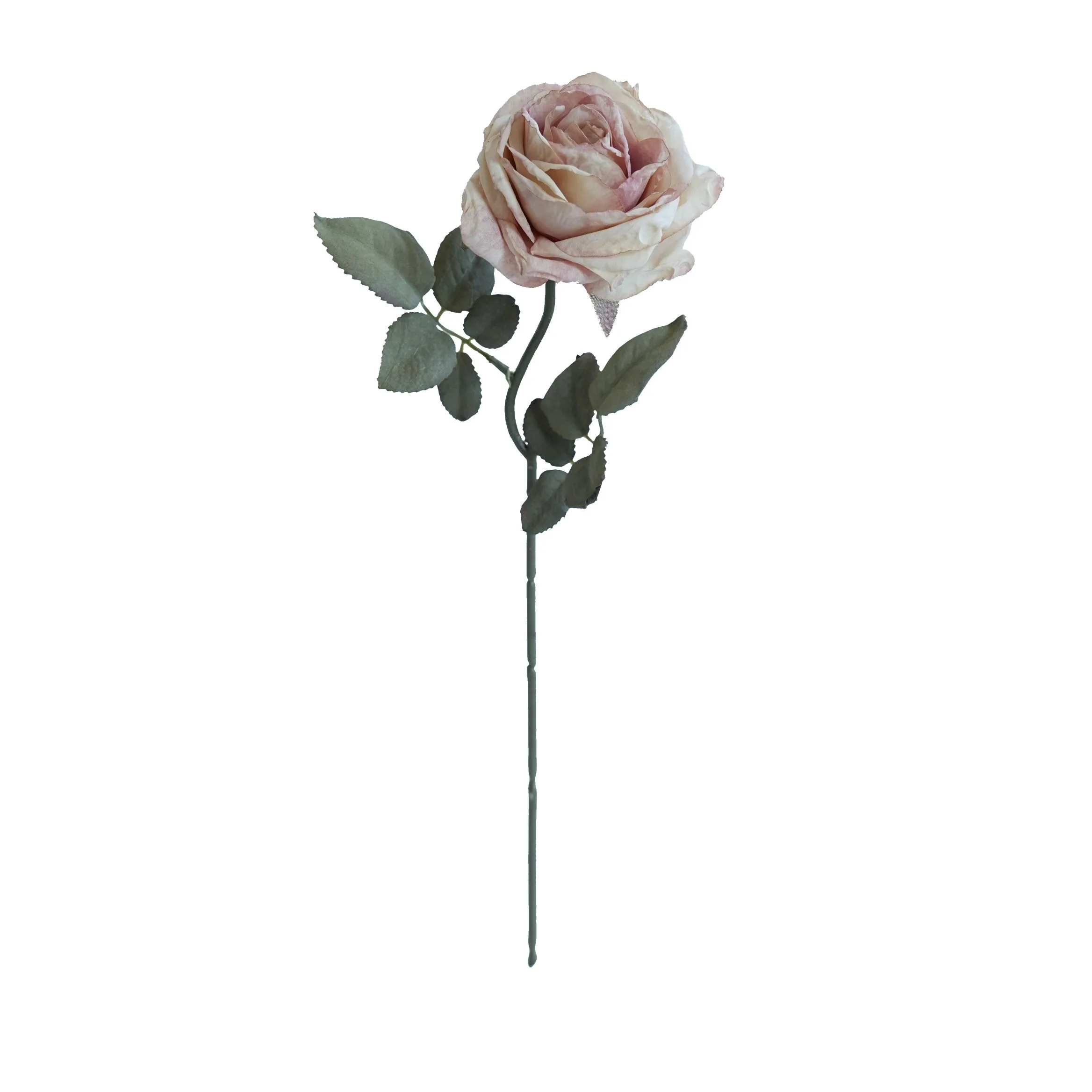 Cork-grense met meerlaagse rose