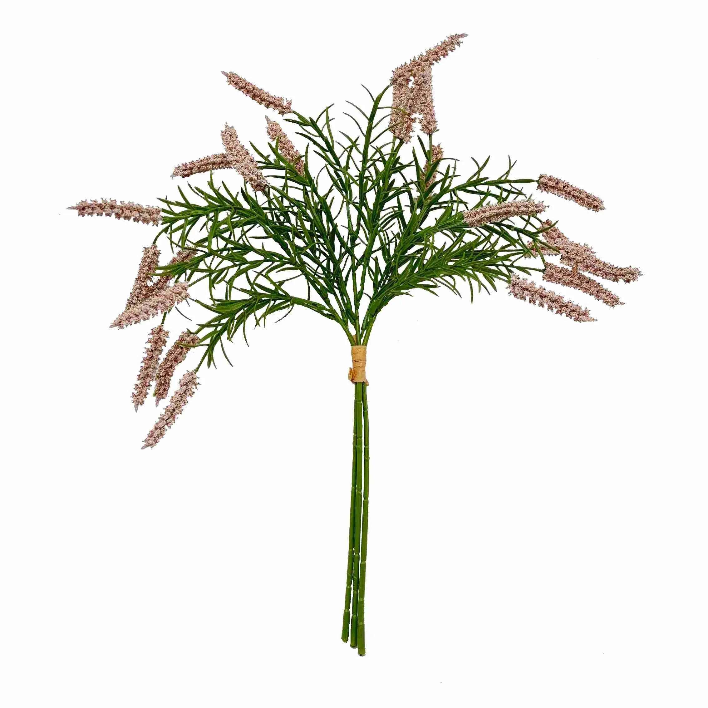Bundel die rietblomme
