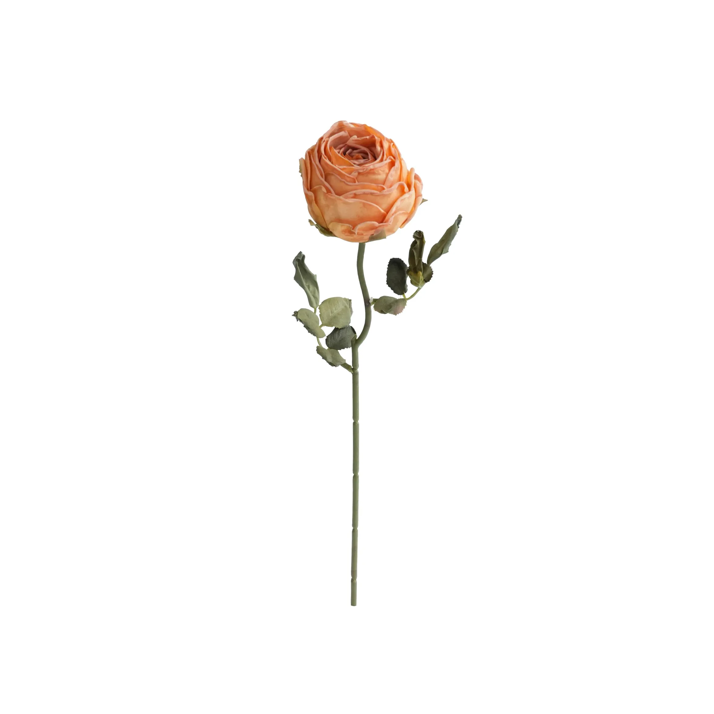 Gekapte ronde rose