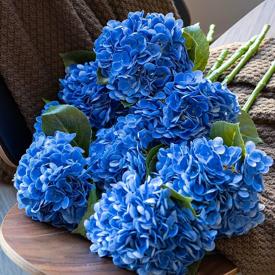 Vals blomme regte aanraking hortensia